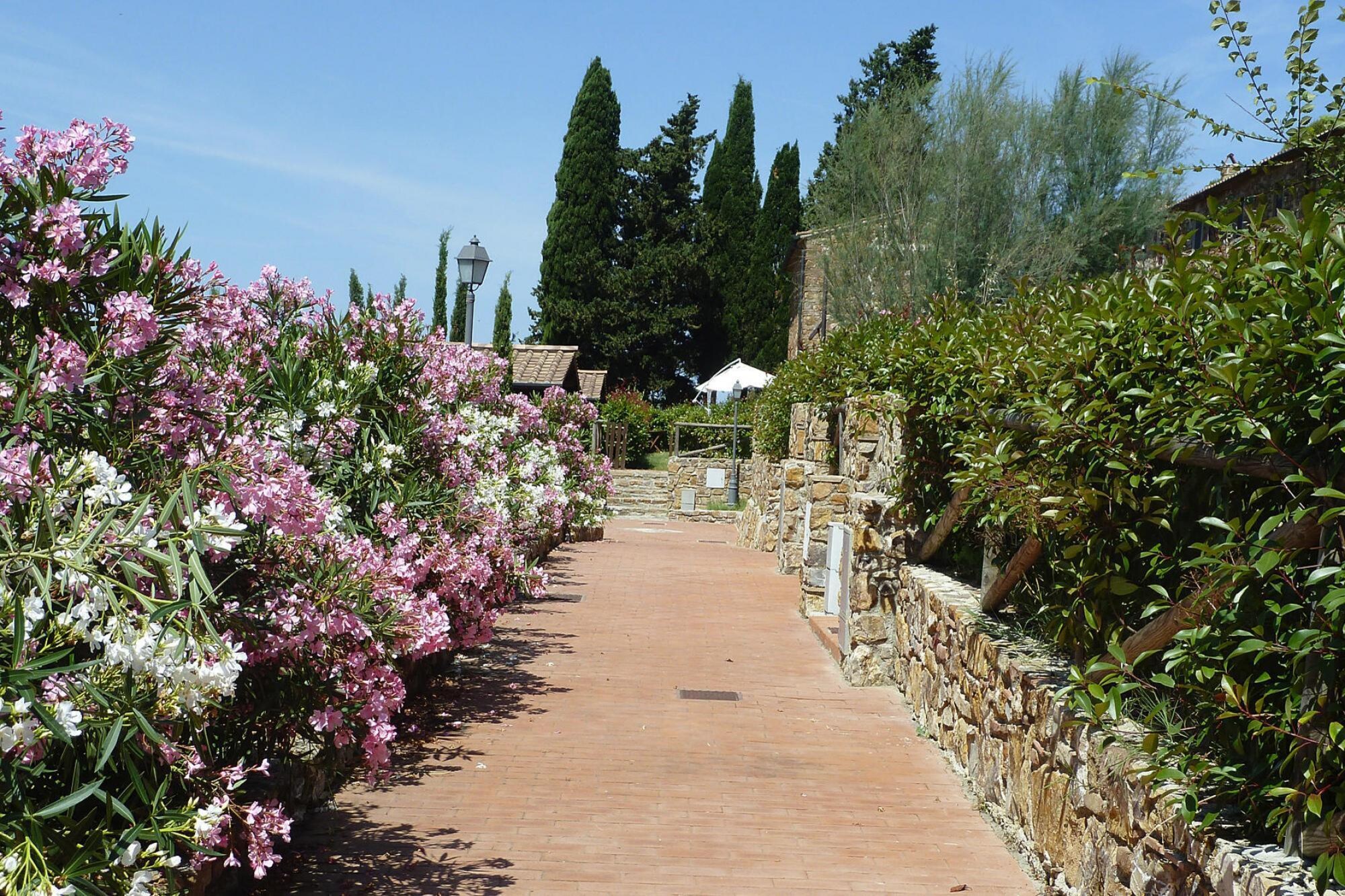 Apartment Holiday resort Antico Borgo Casalappi Campiglia Ma