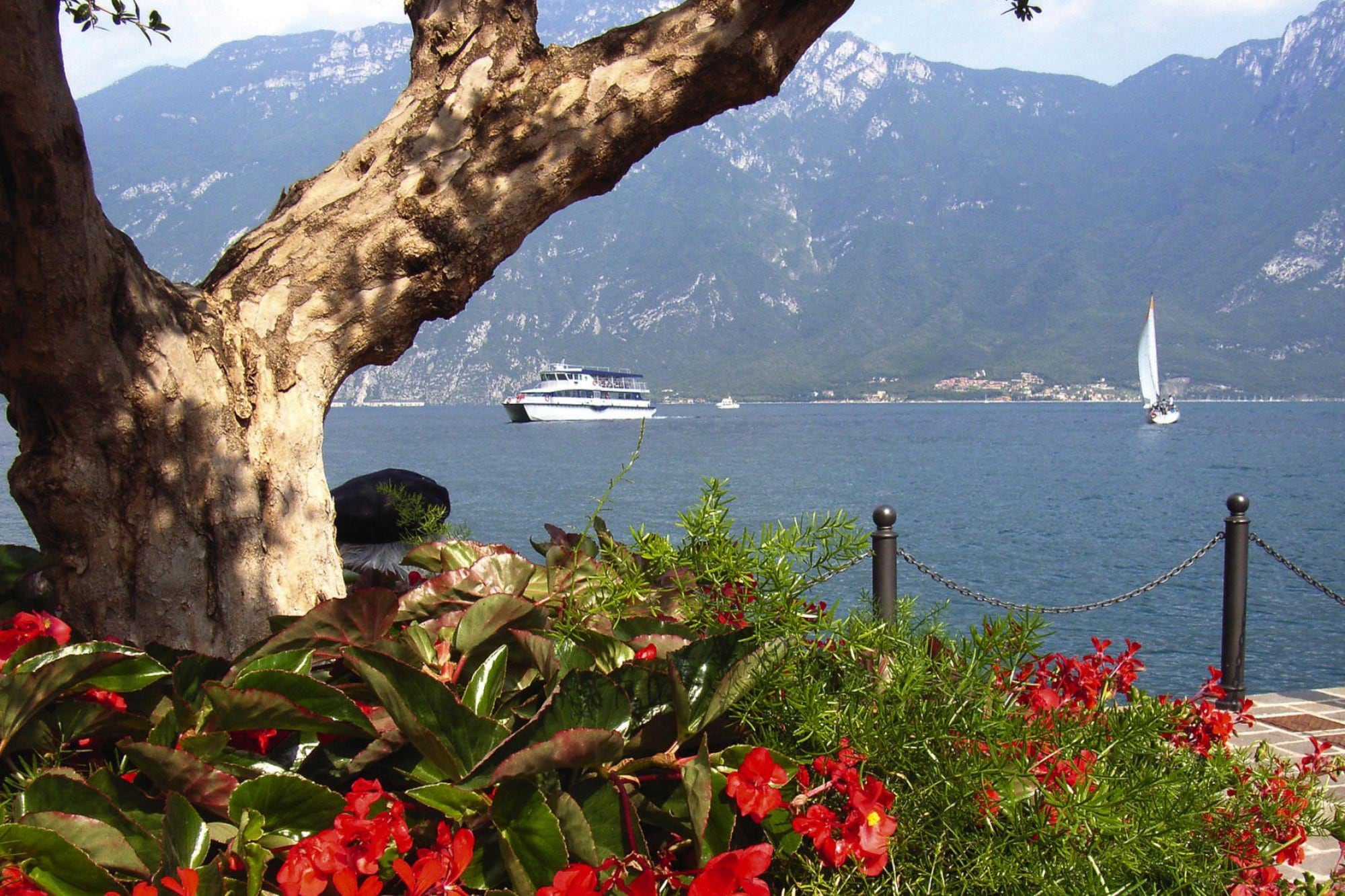 Lägenhet Residence Oasi, Limone sul Garda-trilo