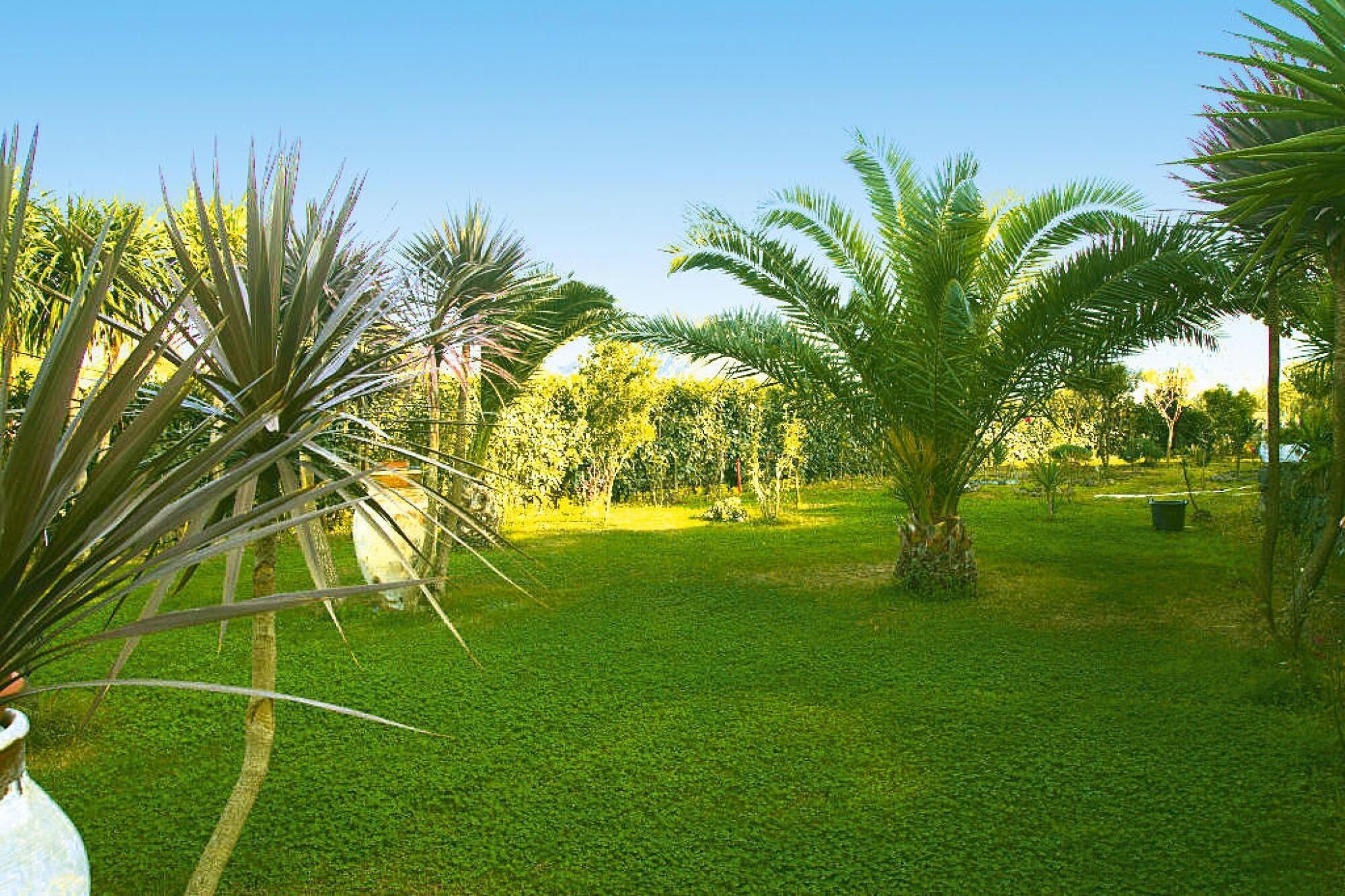   holiday home Castiglione di Sicilia-Villa Jel&#250