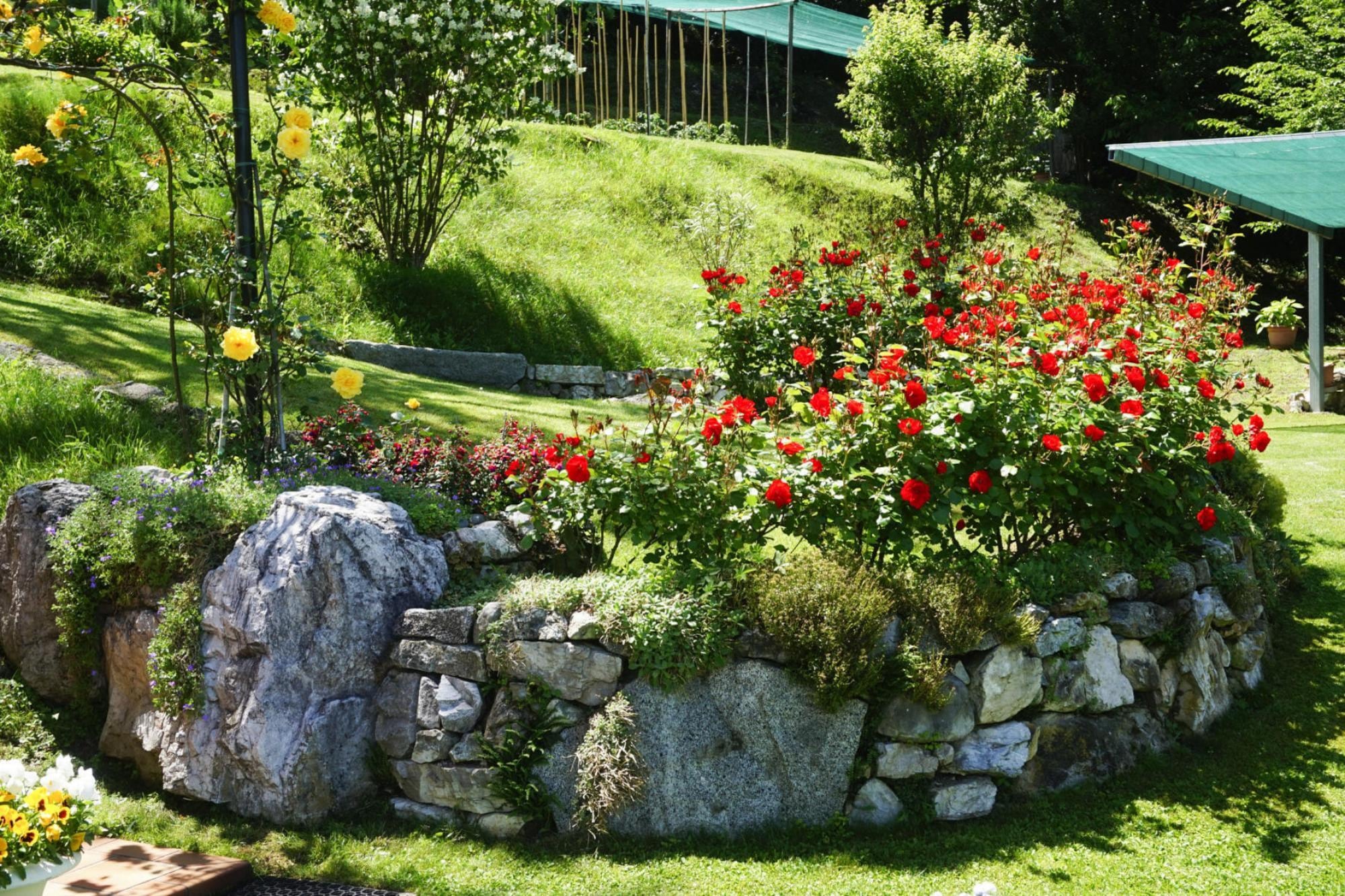 Leilighet Apartments Casa Tamas, Limone-bilo 2 pax