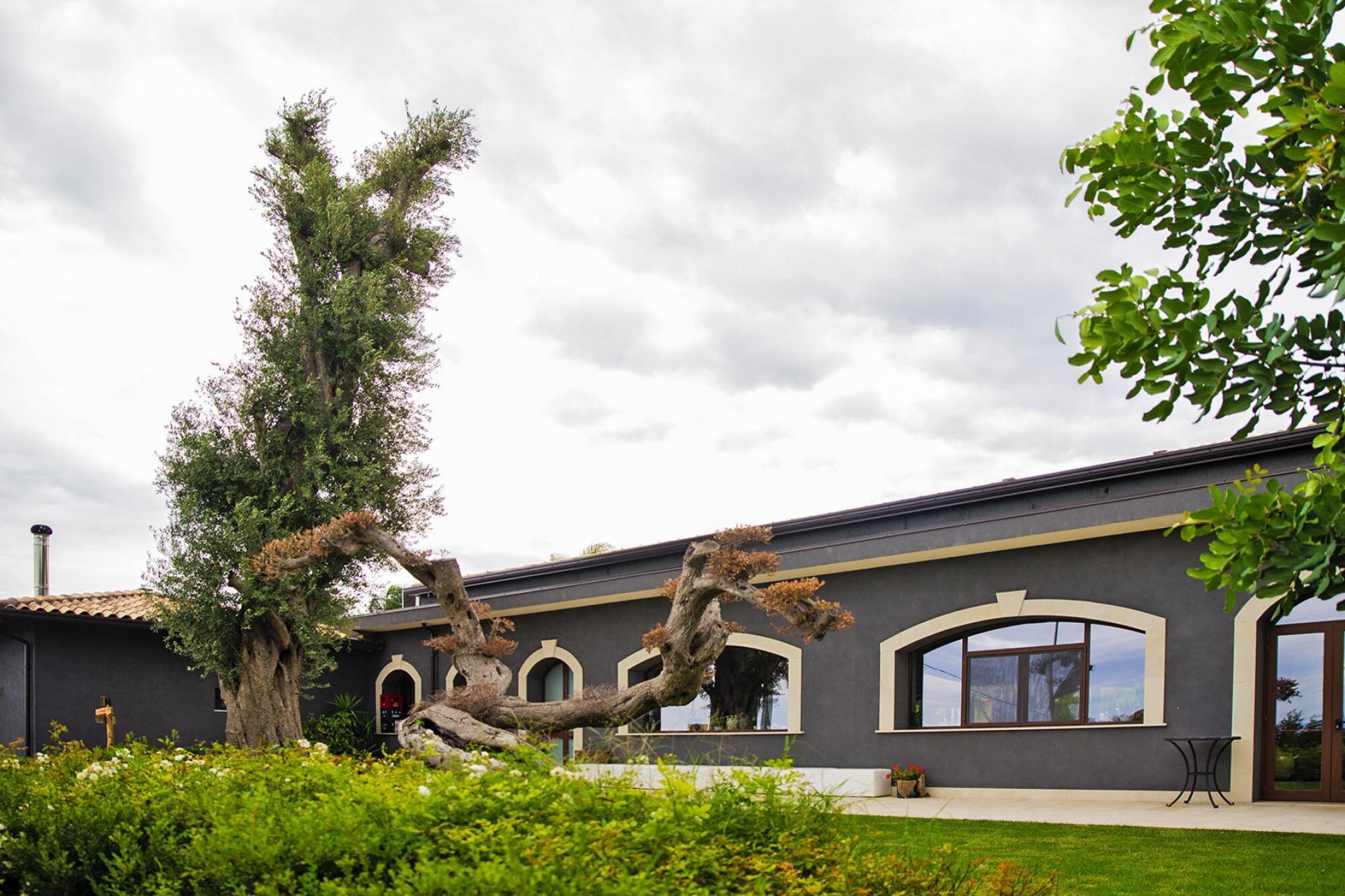 Ferienhaus Reihenbungalows Santa Venerina - Terra di Venera G