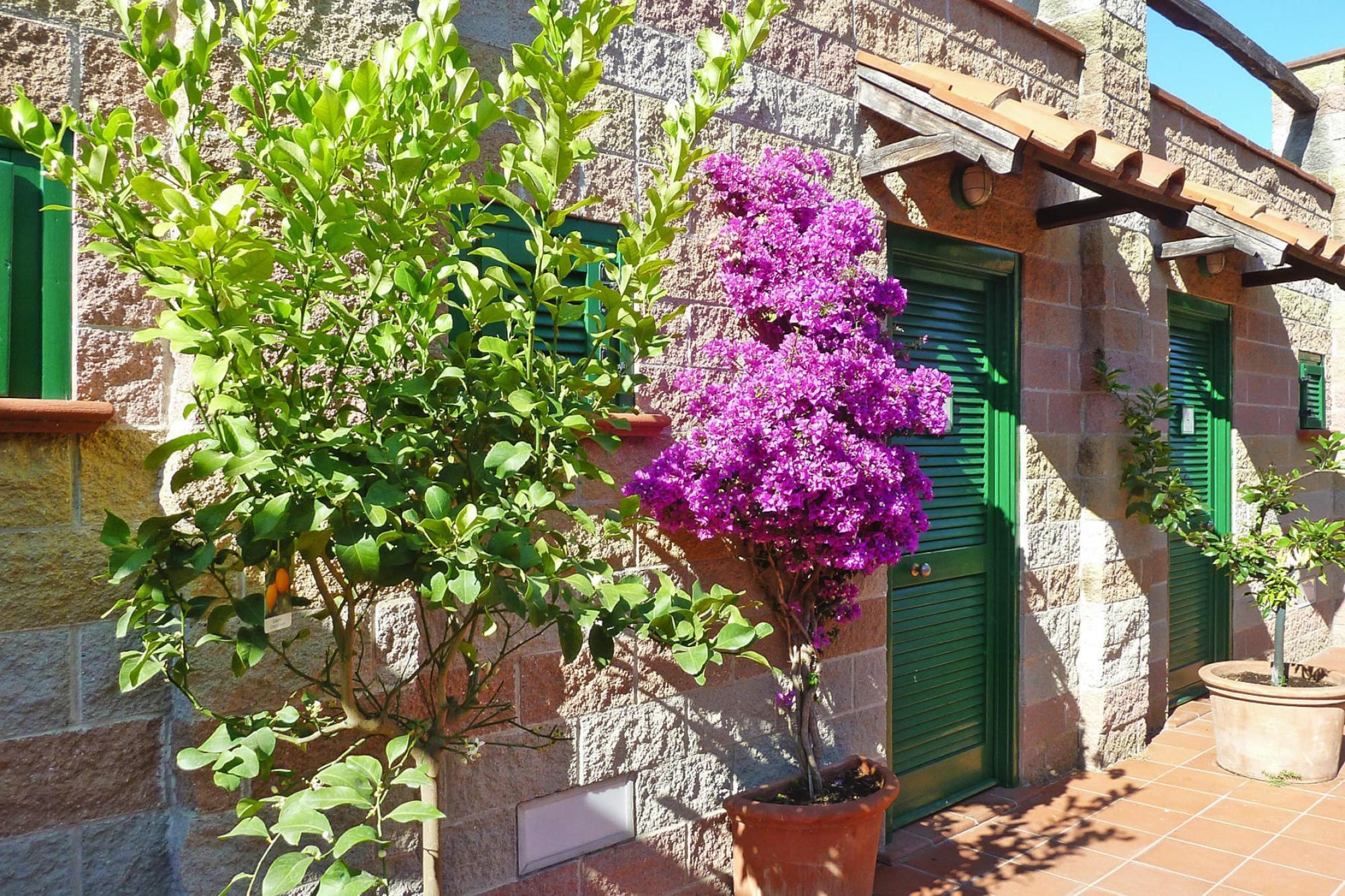 Apartment Ferienresidence St Anna Rio nell'Elba - Typ Trilo