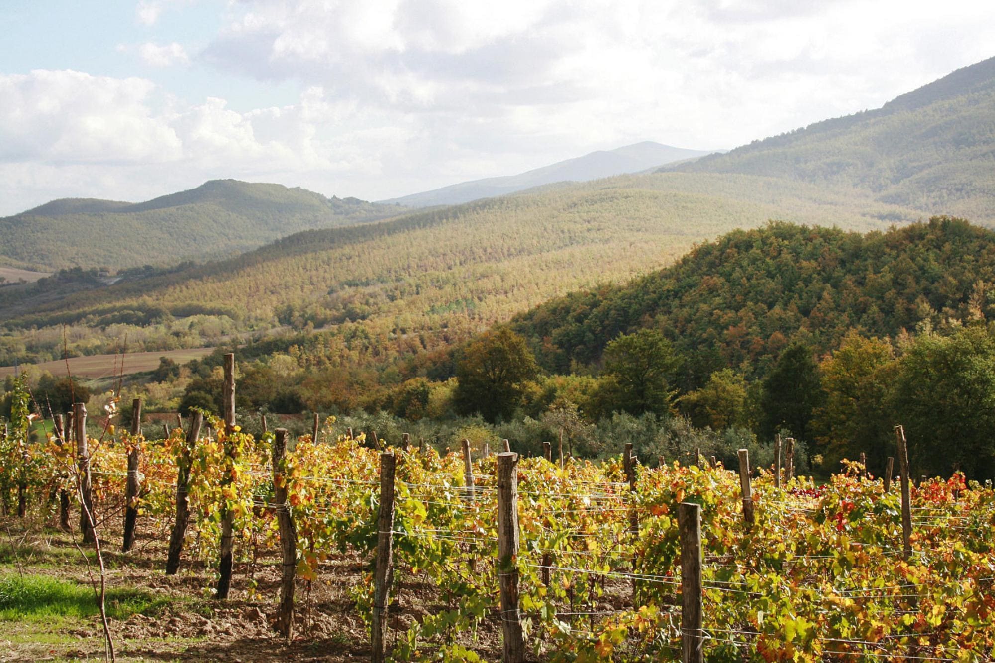 Ferienwohnung Agritourismo La Chiusa Chiusdino-Vigna Vecchia