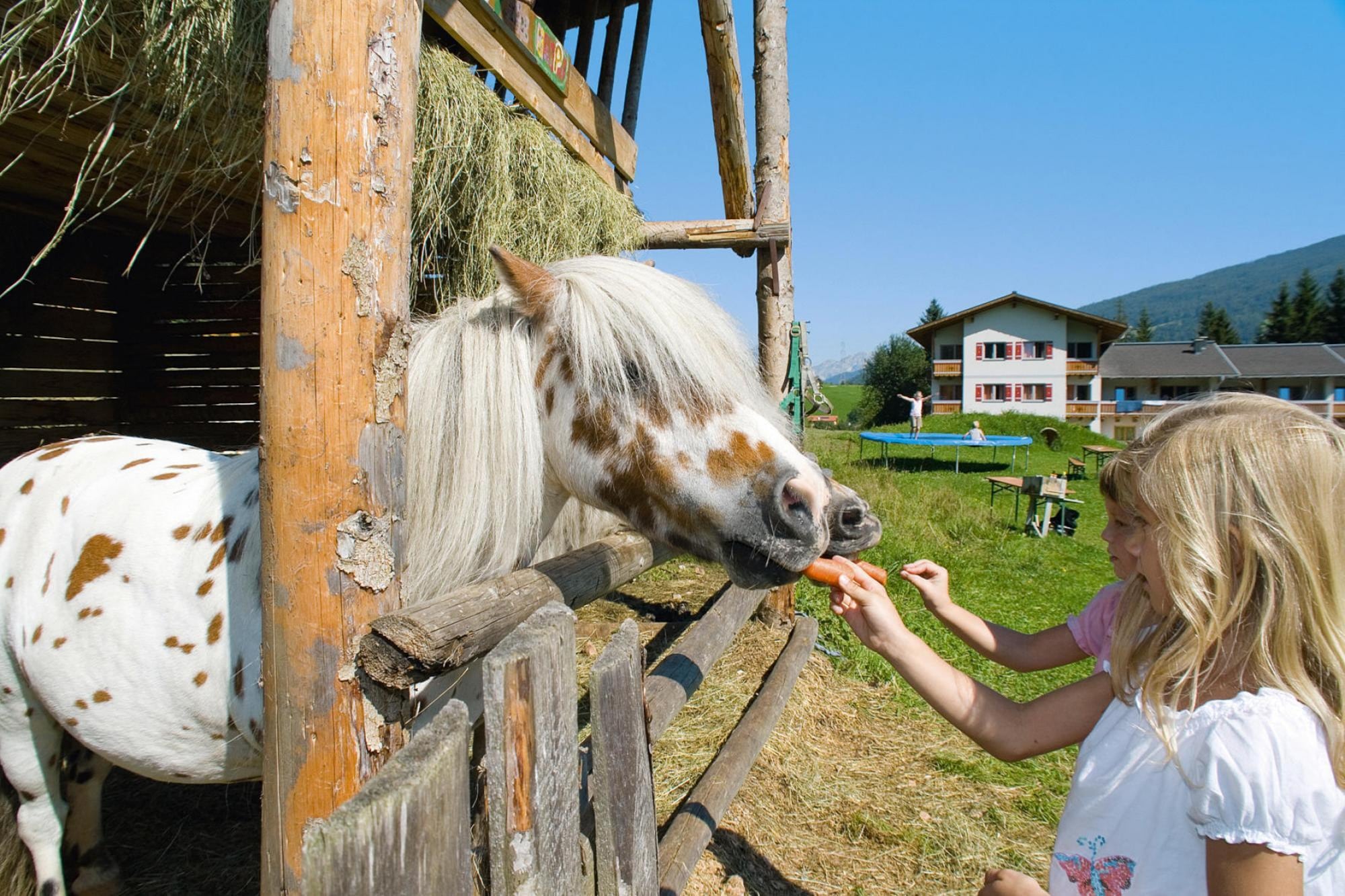 Ferienwohnung Appartements Isegrim