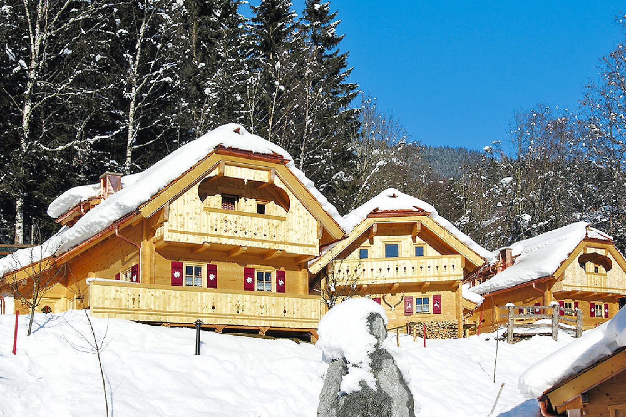 Ferienhaus Naturdorf Oberkühnreit - Naturdorf Chalet - 4