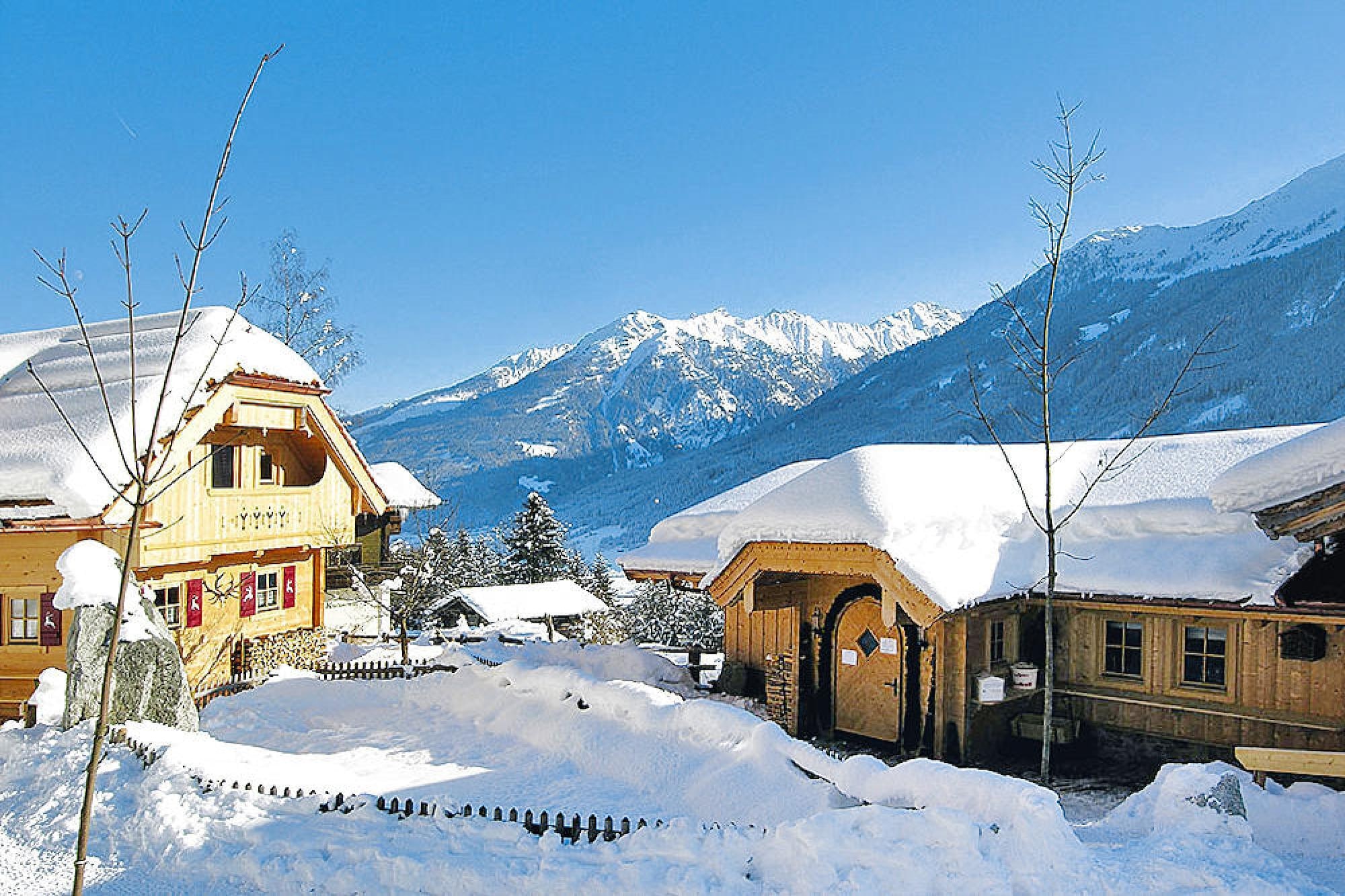 Feriebolig Naturdorf Oberkühnreit - Naturdorf Chalet - 8