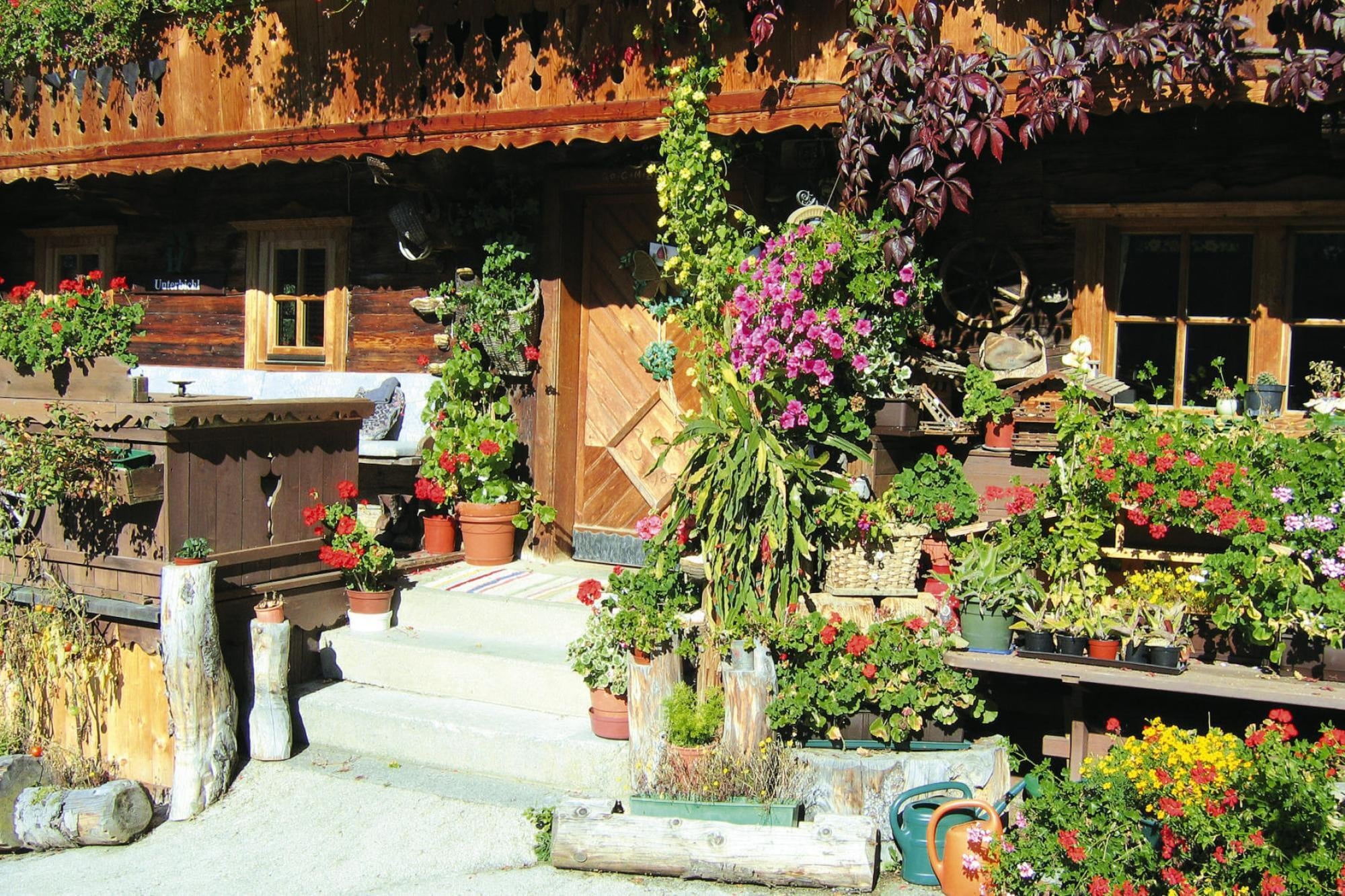 Apartment Apartments Schatzberg-Haus