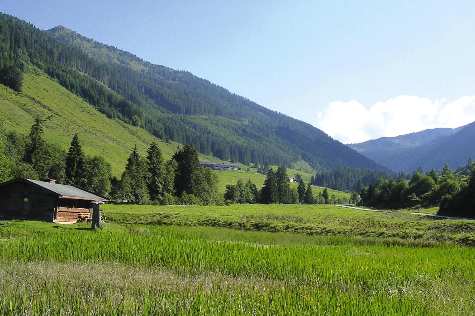 Ferienwohnung Apartments Schatzberg-Haus, Wildschönau-Auffa