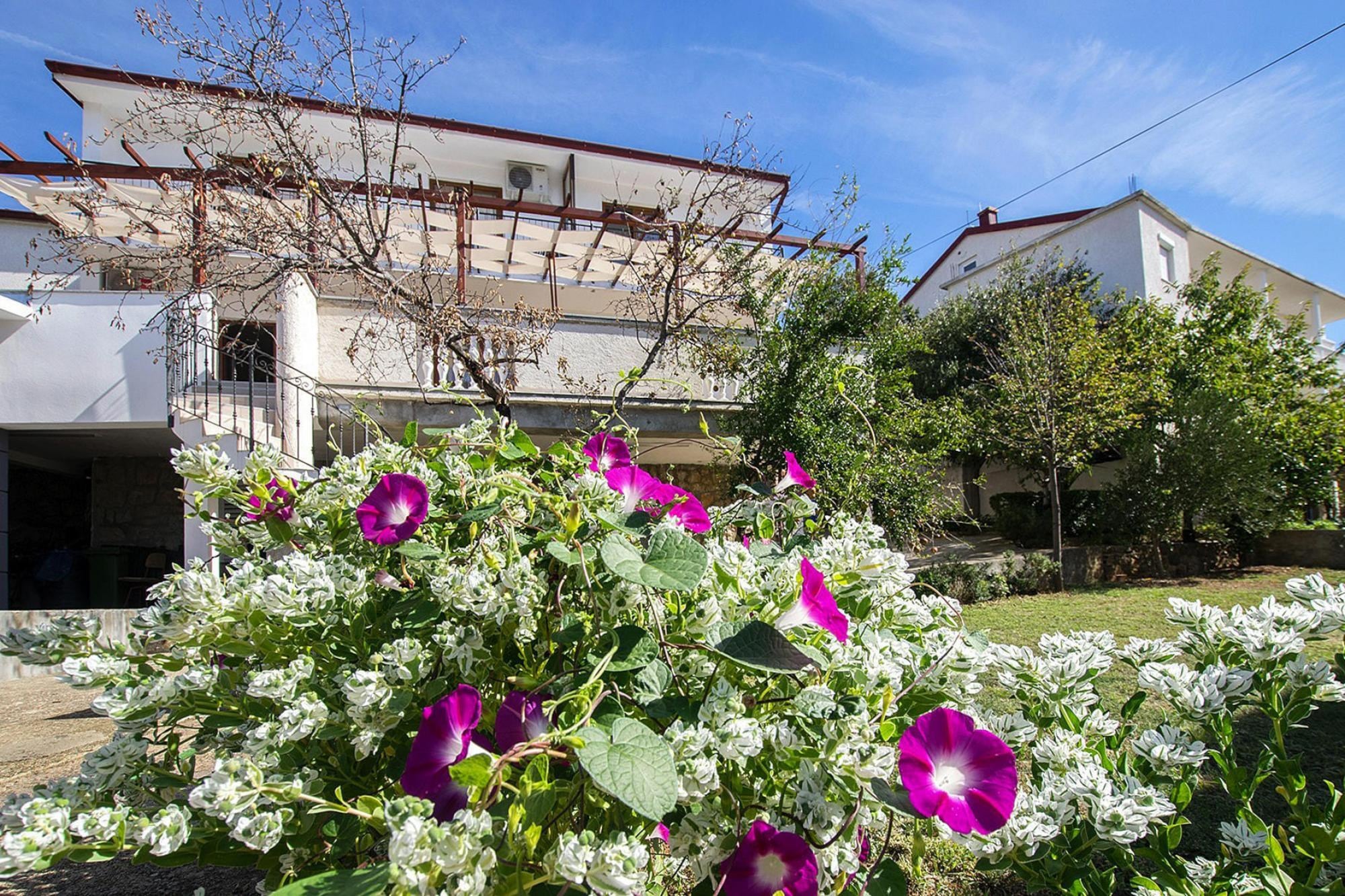 Appartement Zrinka in Starigrad Paklenica met terras