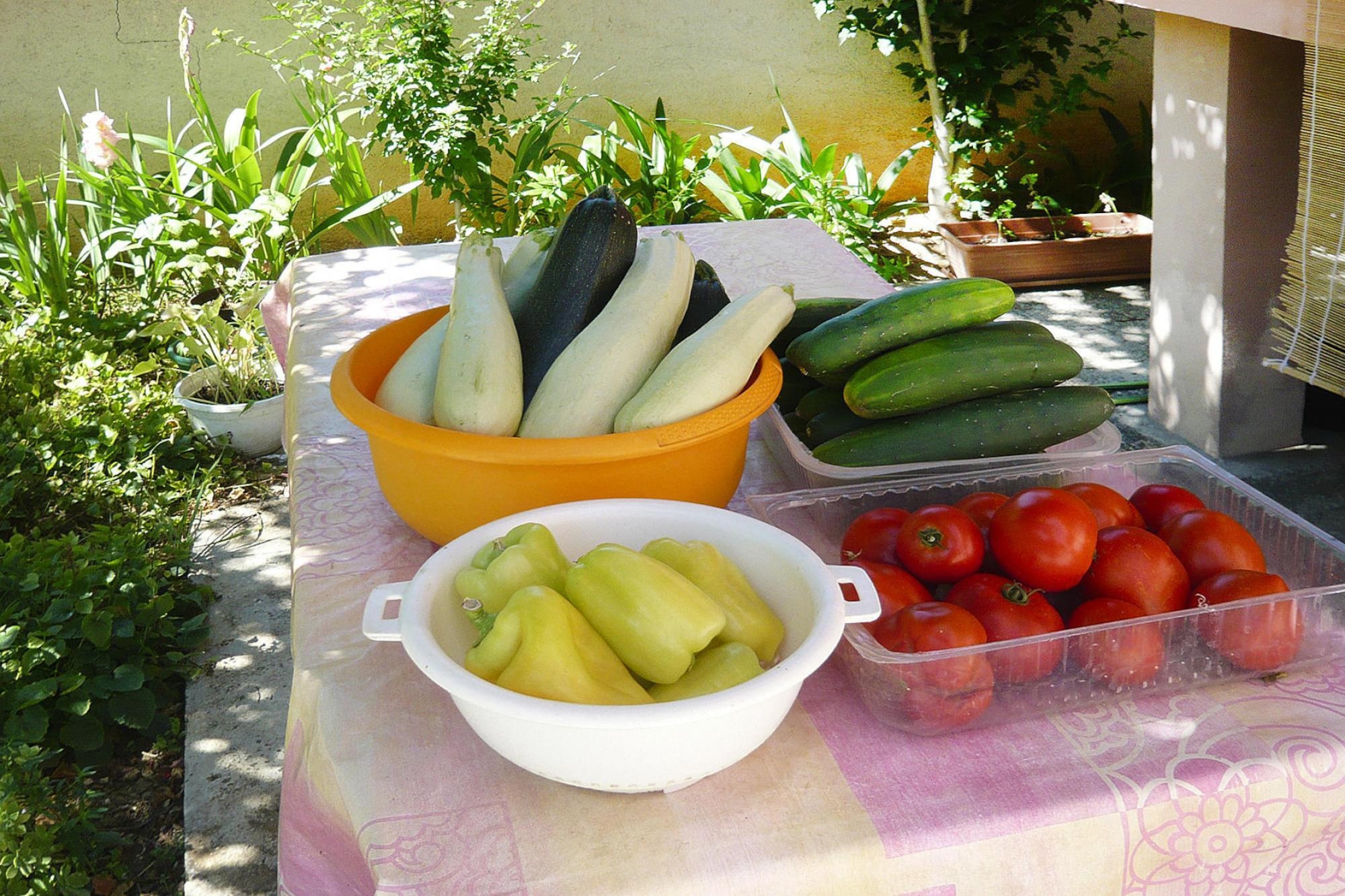 Apartmá A6 - Apartments Ljilja PrivlakaA6 ca 60 qm bei Bel