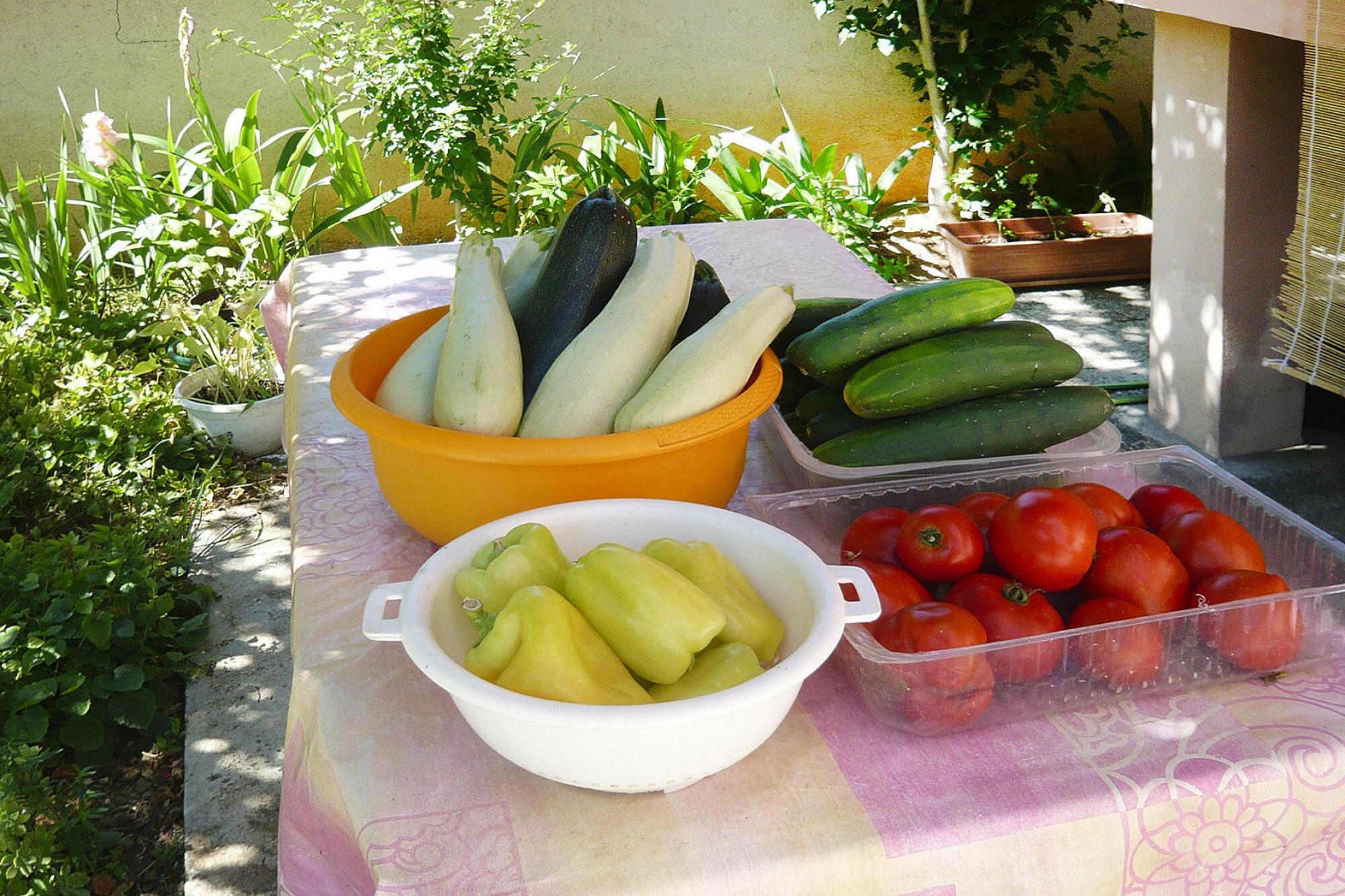 Apartmá A6 - Apartments Ljilja PrivlakaA6 ca 60 qm bei Bel