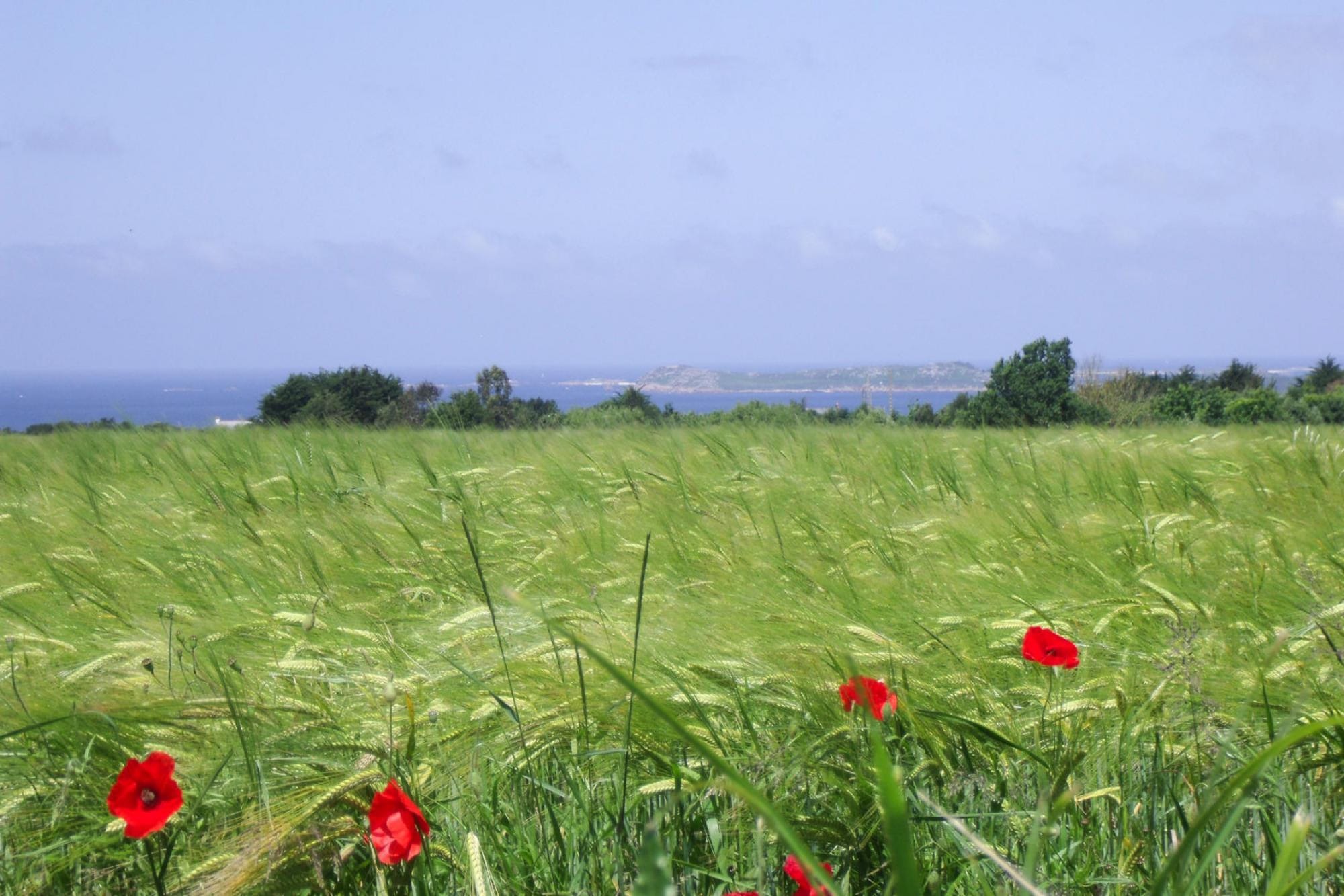   holiday home, Trédrez-Locquémeau-Grand g