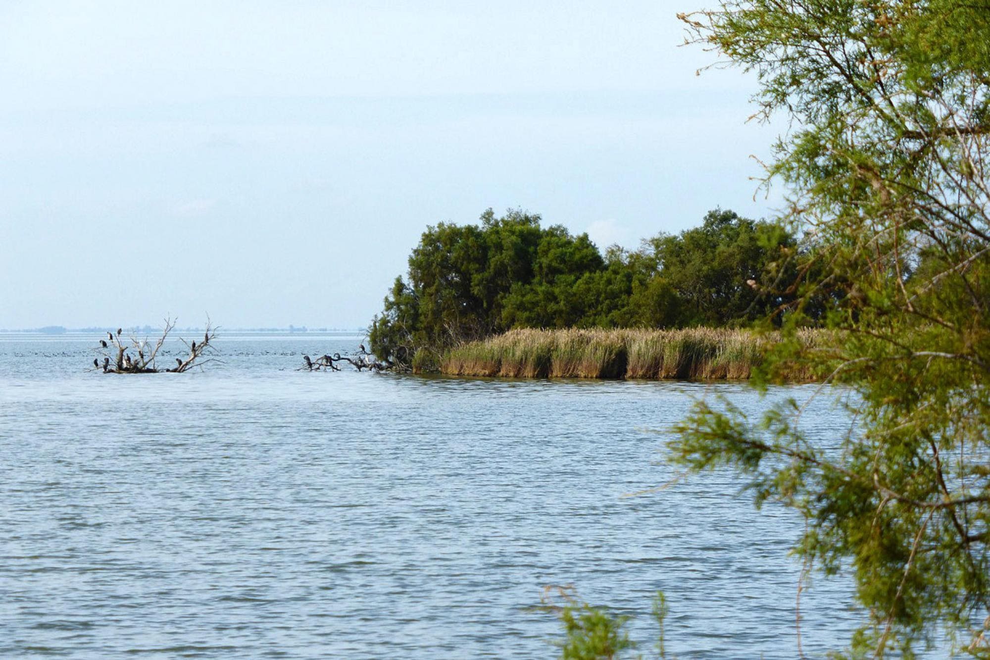   Doppelhaushälfte in Saintes-Maries-de-la-Mer