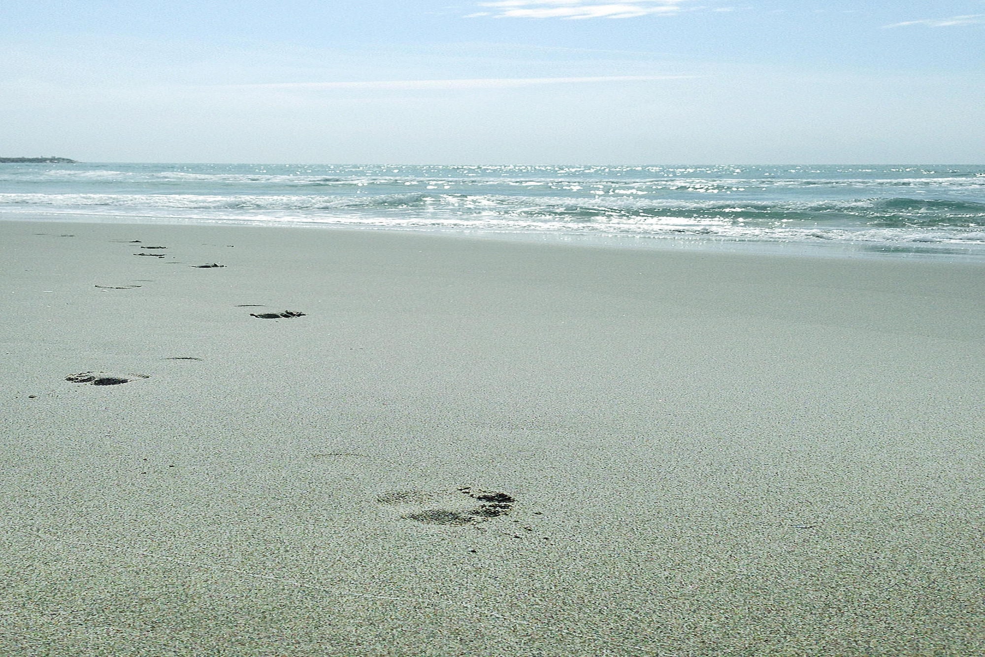   Doppelhaushälfte in Saintes-Maries-de-la-Mer