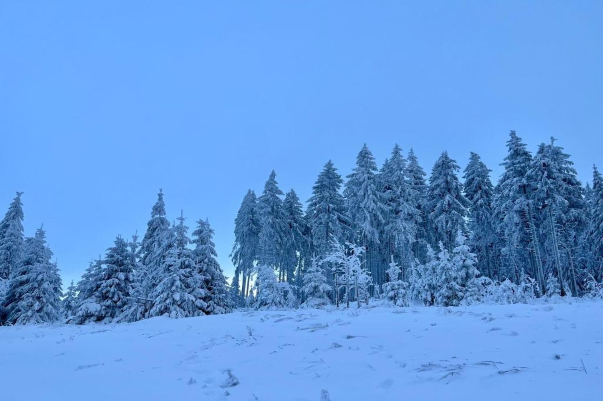 Steinbach-Hallenberg-Area winter 20km