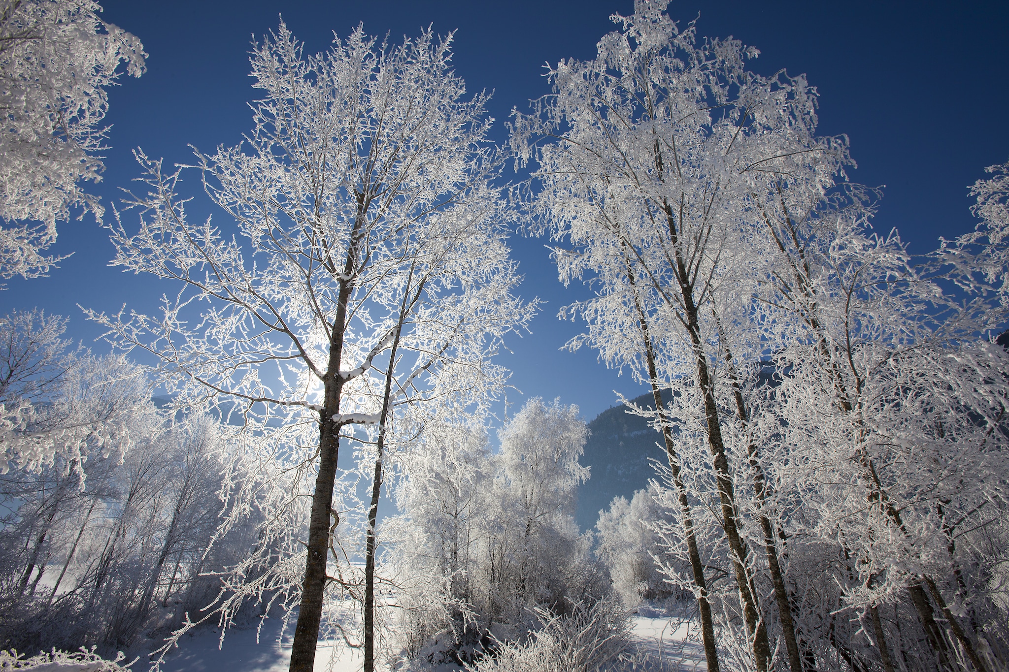 Panorama Chalet 18 - Gebiet Winter 5 km