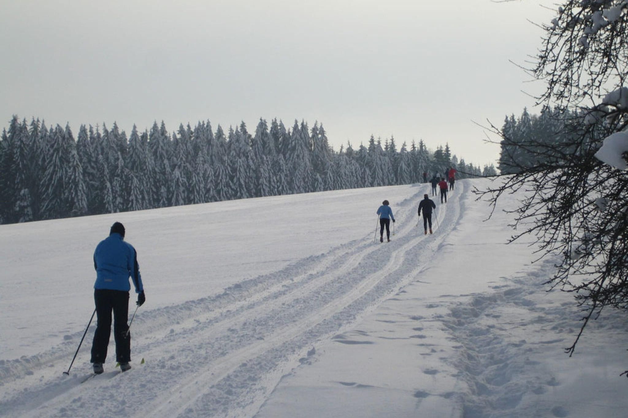 Gästehaus Kandlbinder-Gebied winter 20km