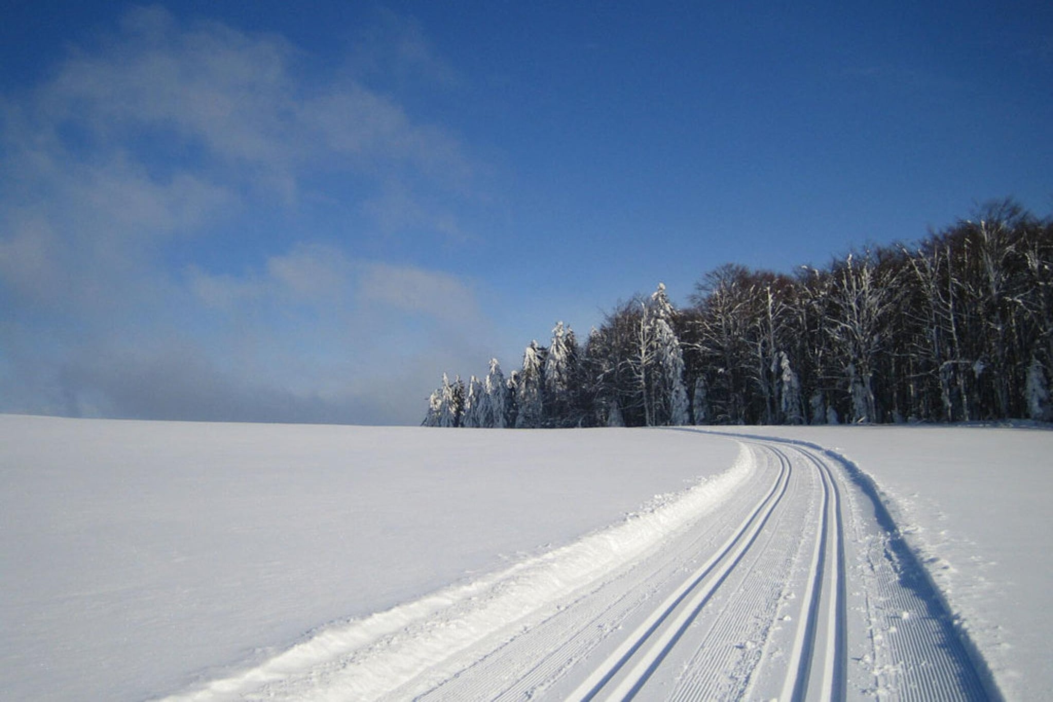 Gästehaus Kandlbinder-Gebied winter 20km