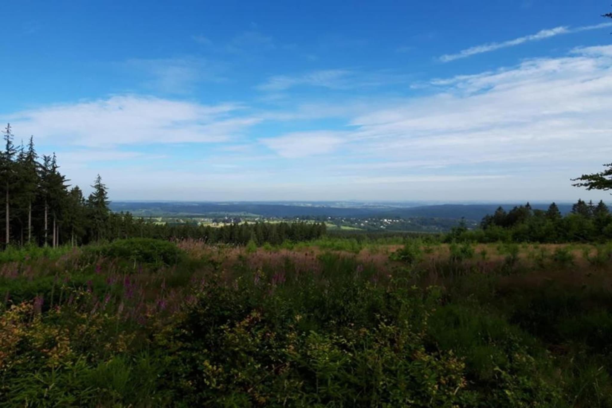 Le Vieux Chene-Gebieden zomer 20km