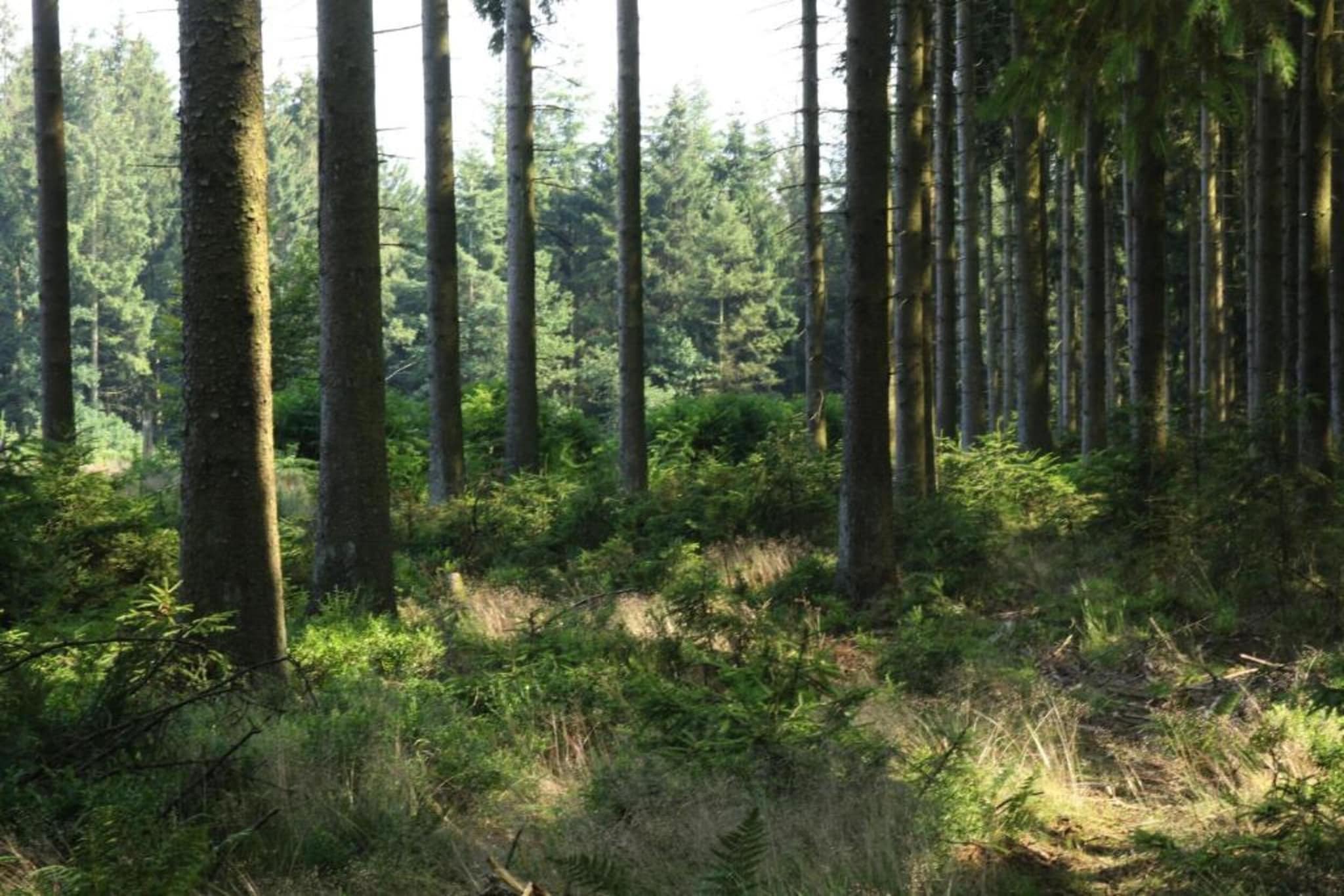 Le Vieux Chene-Gebieden zomer 20km