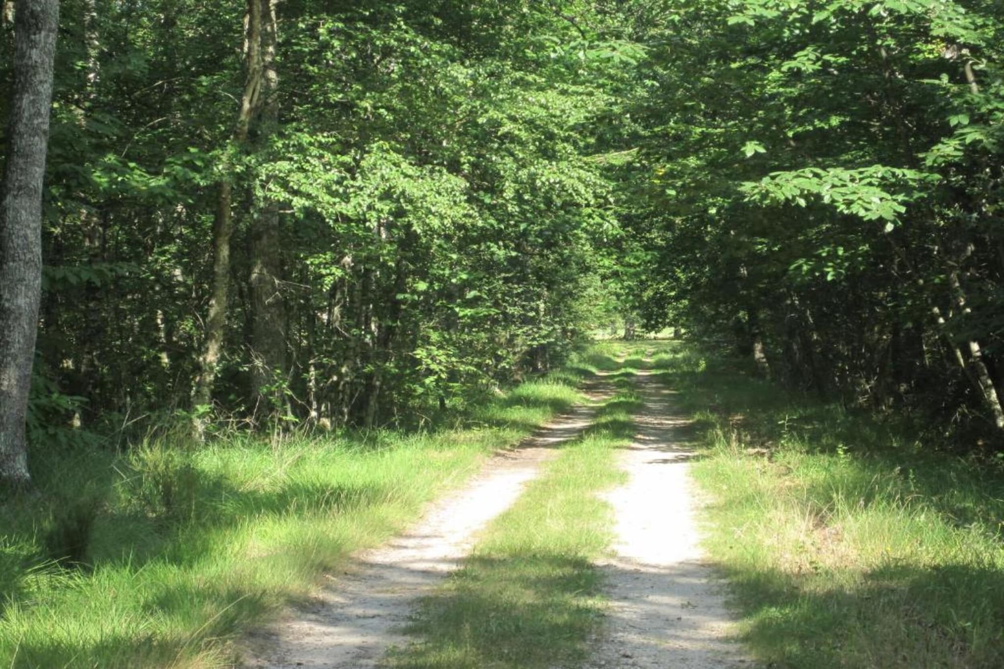 Le Vieux Chene-Gebieden zomer 20km