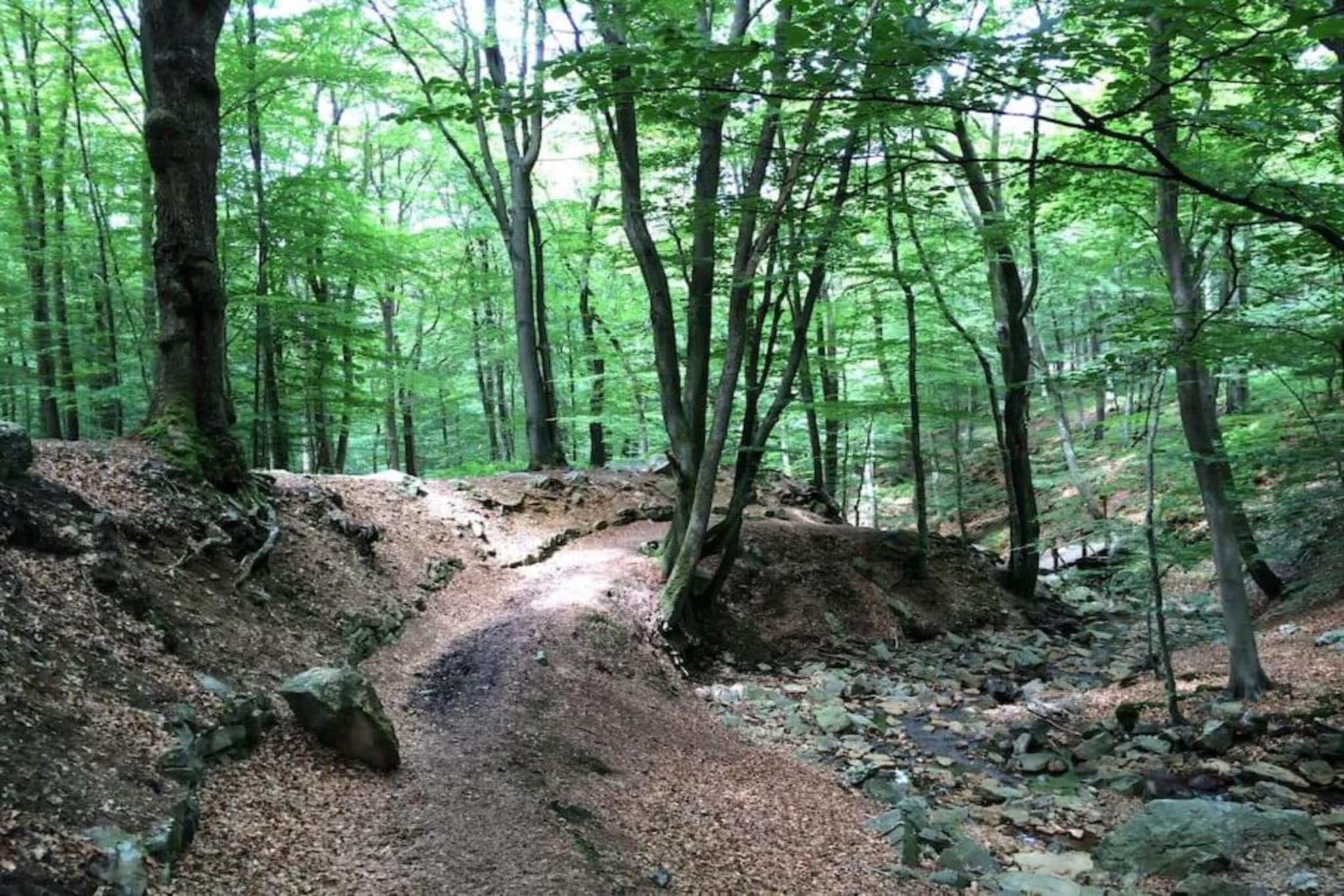 Le Vieux Chene-Gebieden zomer 20km