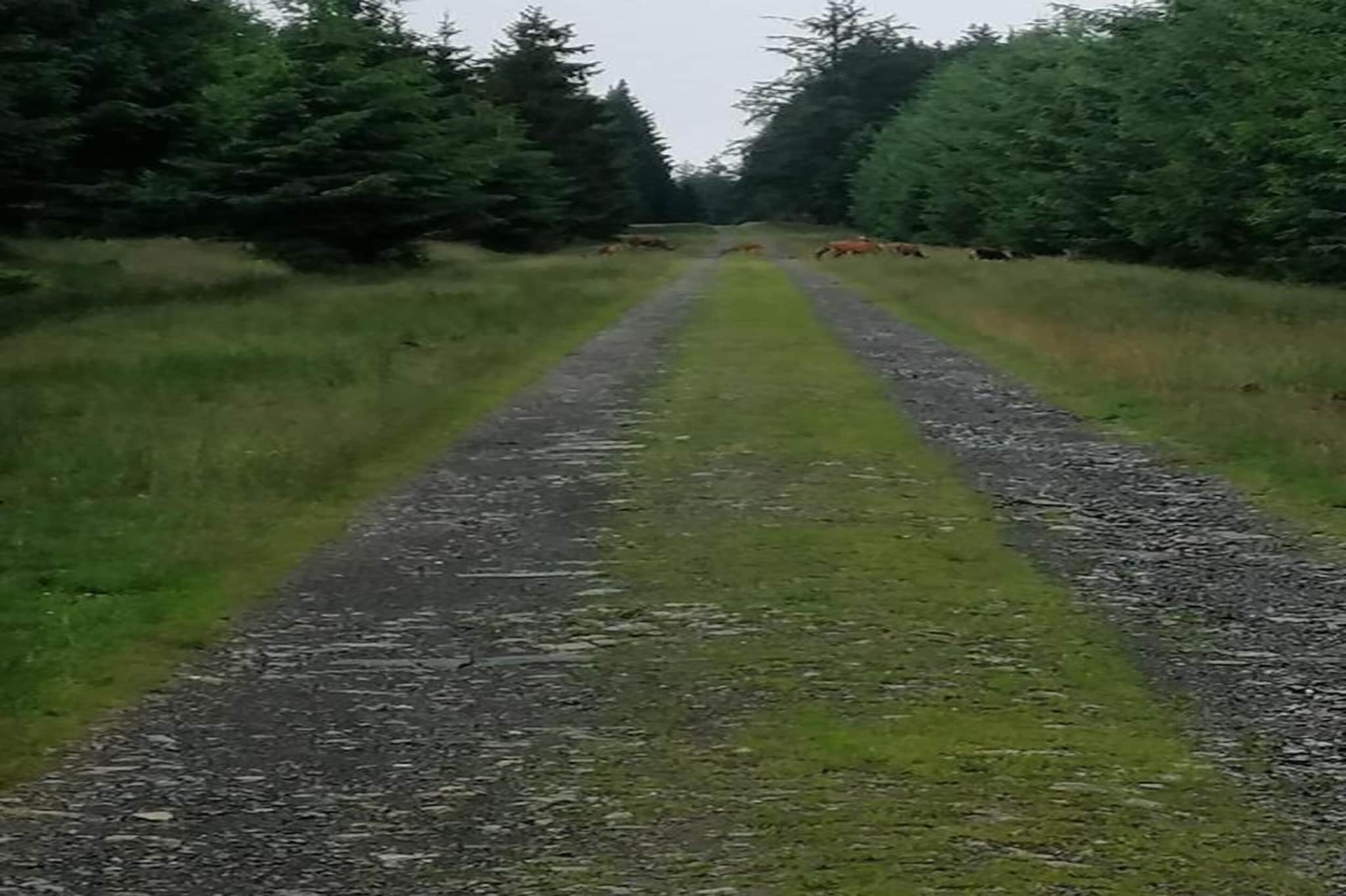 Le Vieux Chene-Gebieden zomer 20km