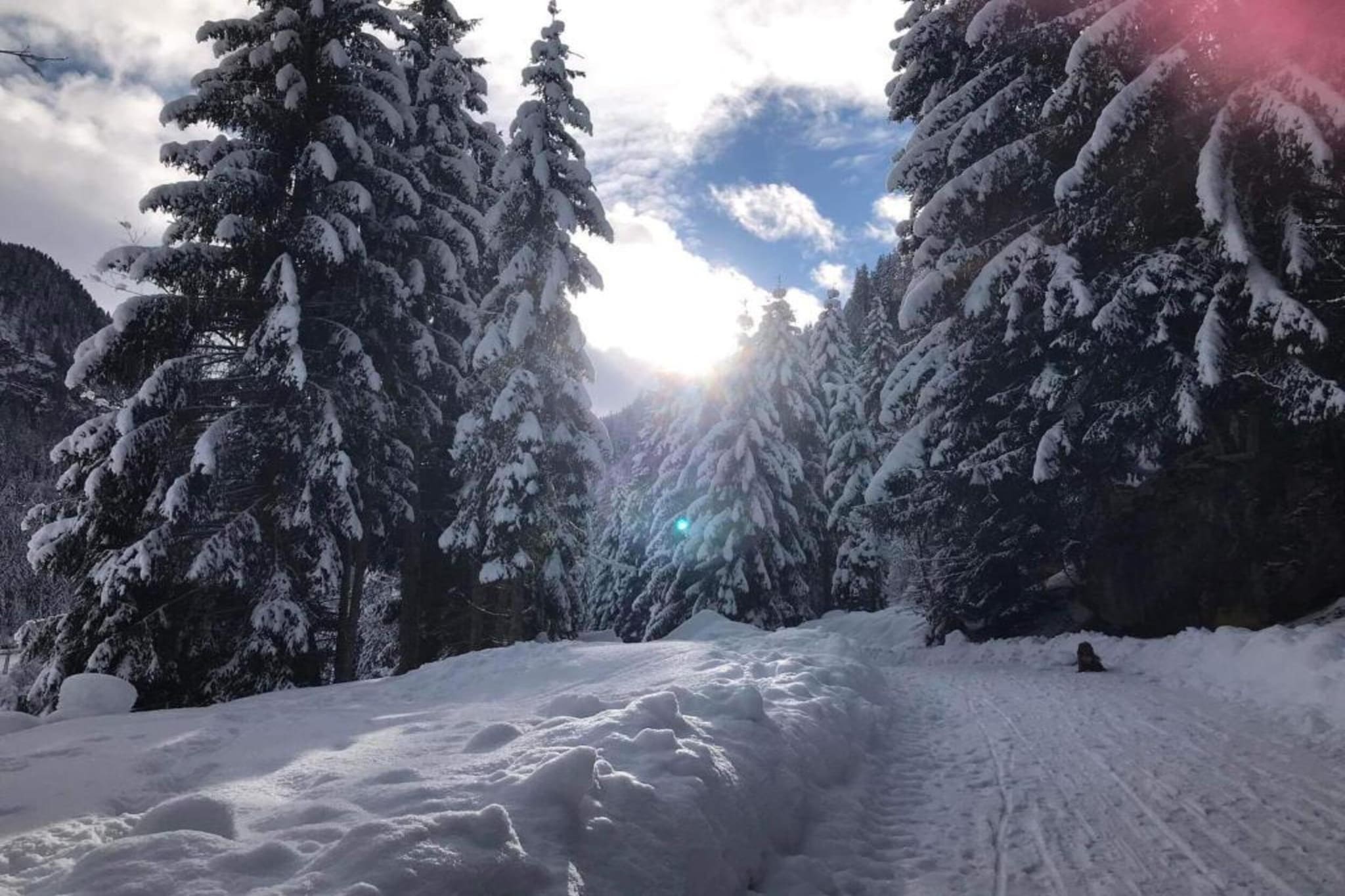 Inge-Gebied winter 20km