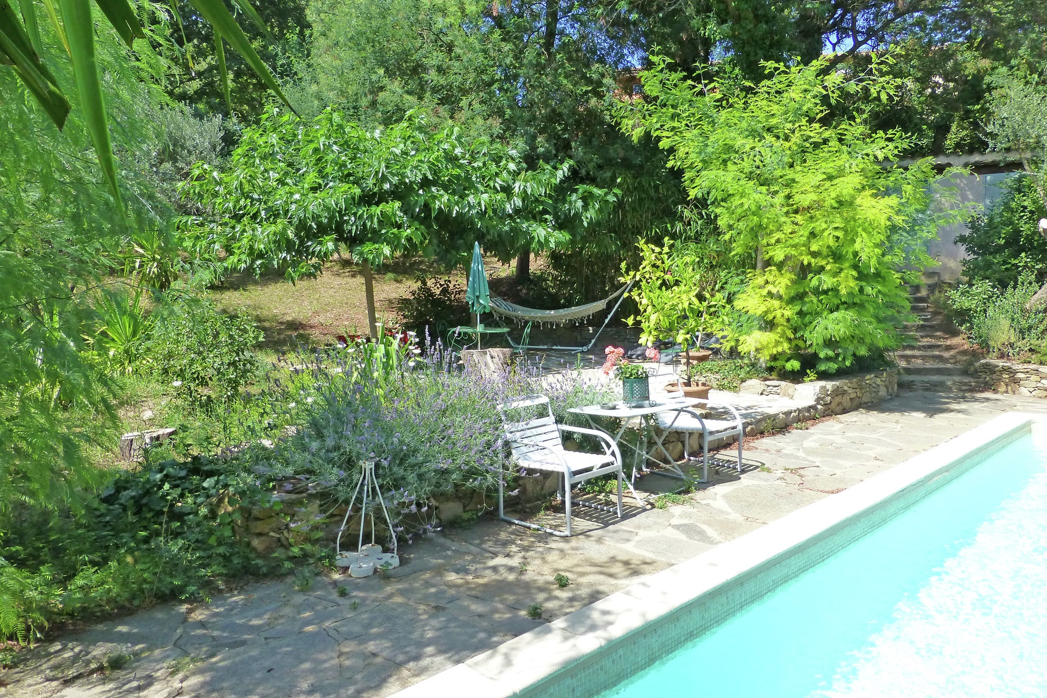 Maison de vacances à la campagne à Grimaud avec piscine