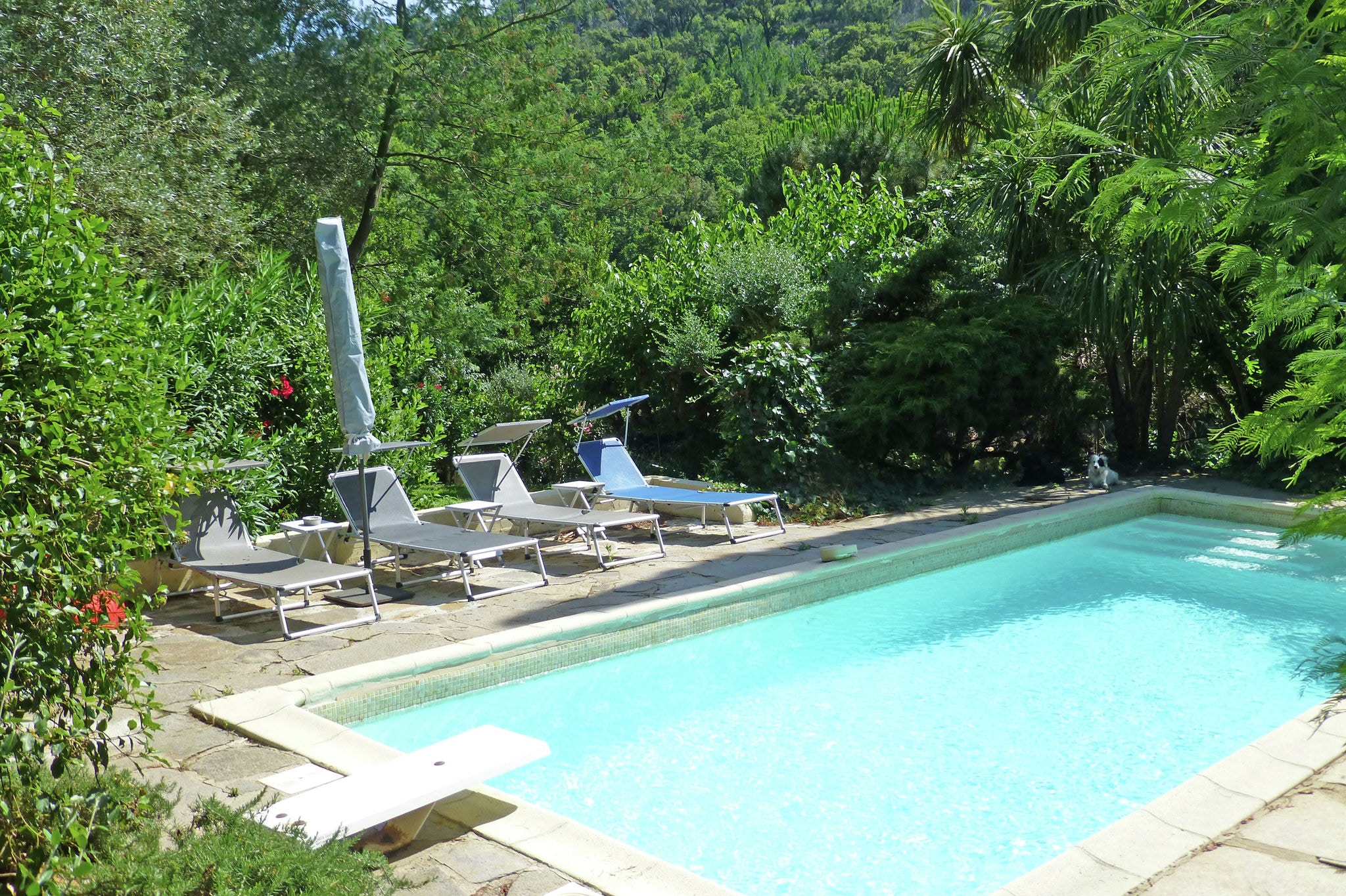 vakantiehuis op het platteland in Grimaud met zwembad
