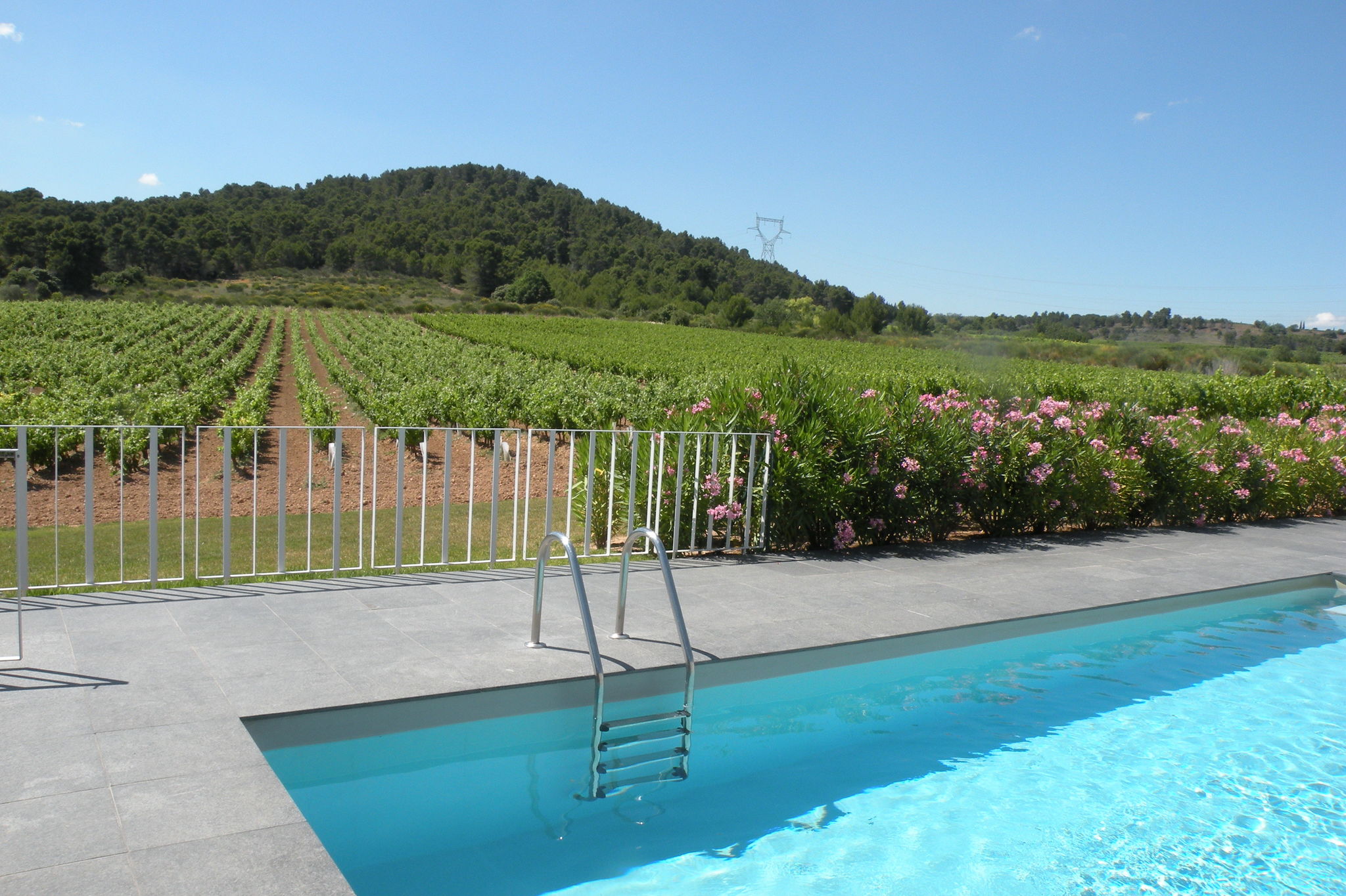 Luxuriöses Ferienhaus in Rieux-Minervois mit Swimmingpool