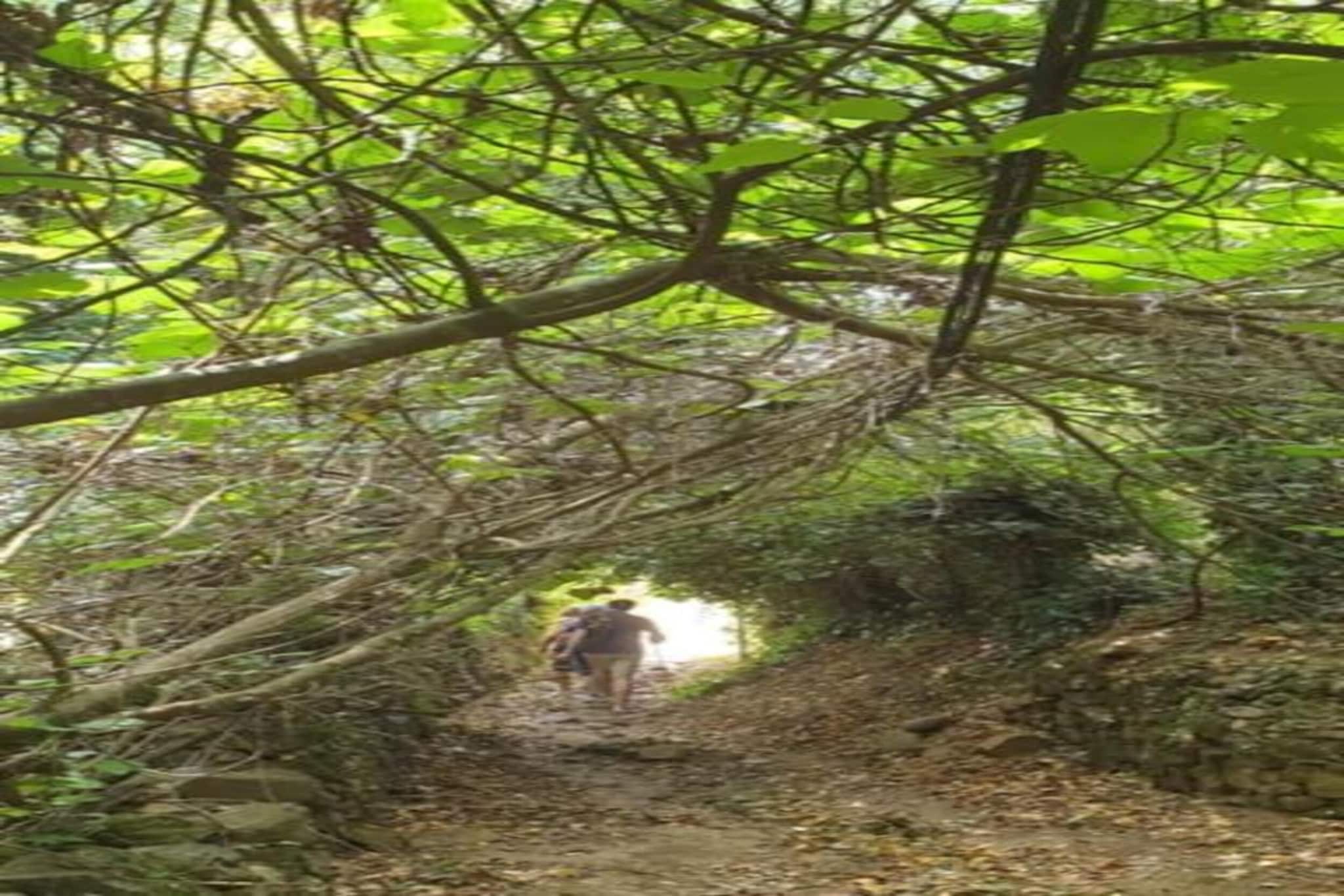 The Owl-Gebiete Sommer 5 km