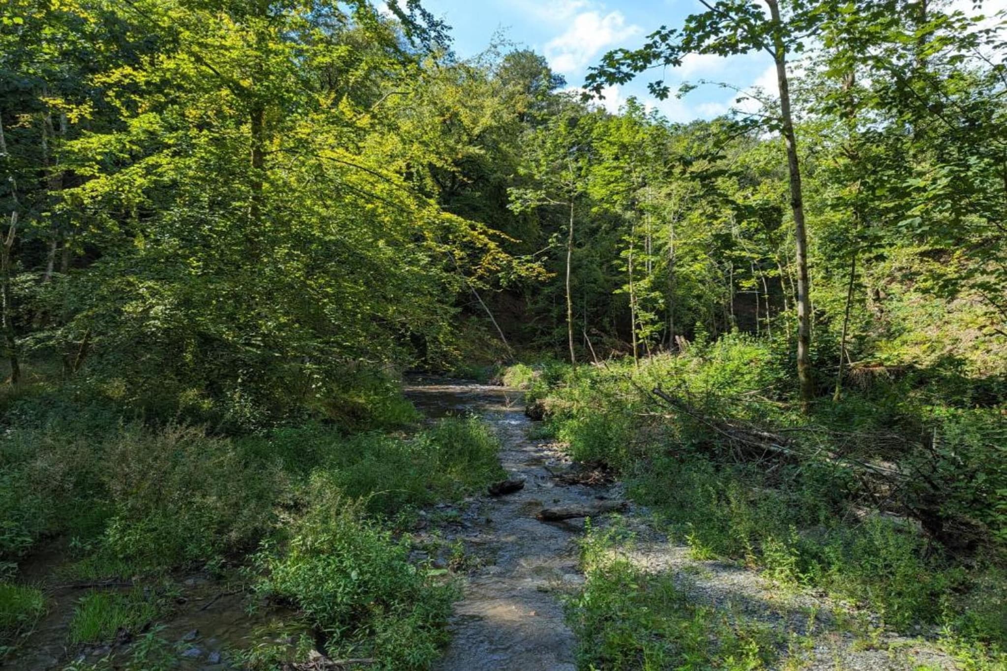 La Ferme Tirou-Gebieden zomer 5km