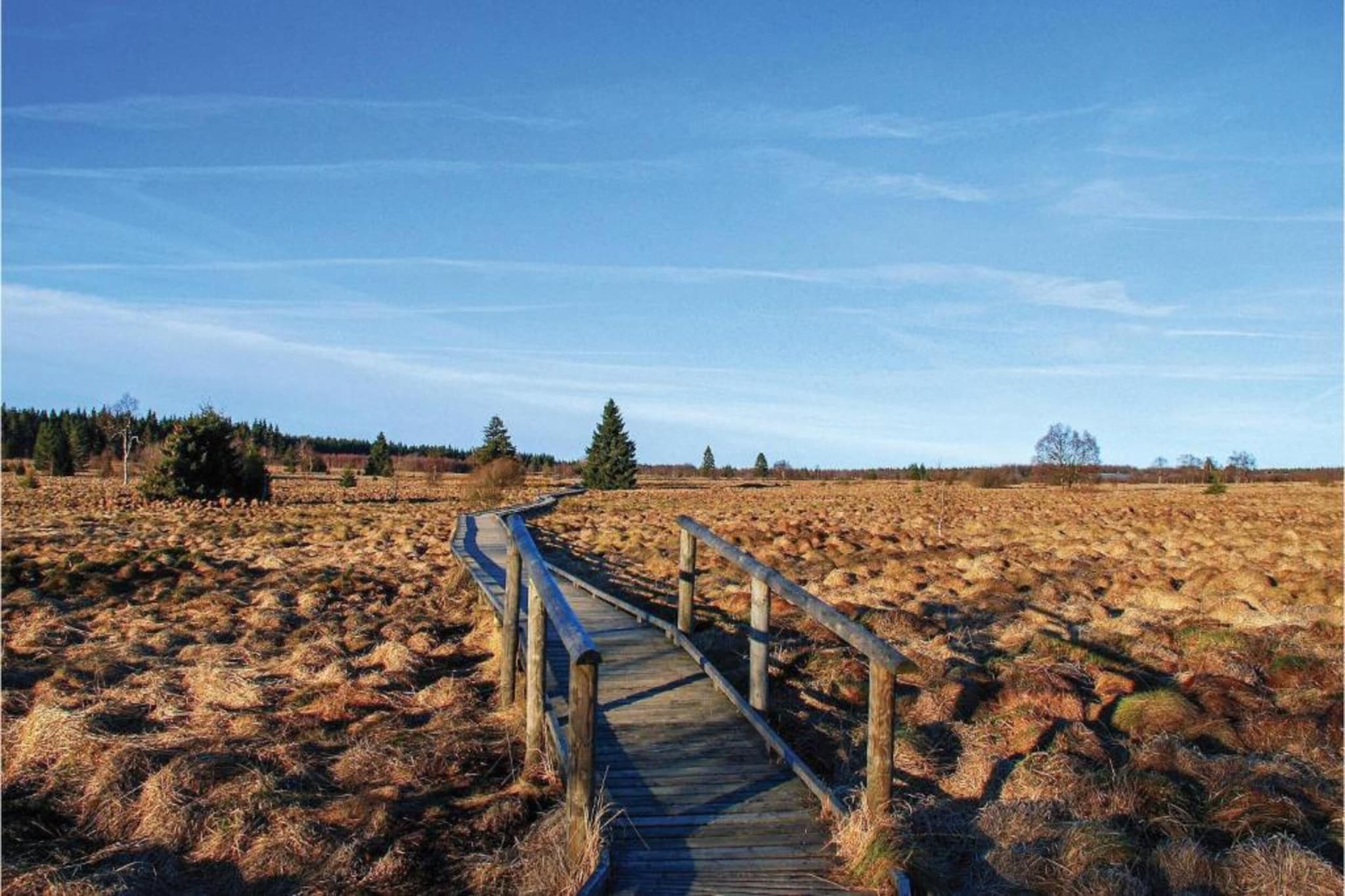 La Terrasse du Lac-Gebieden zomer 20km