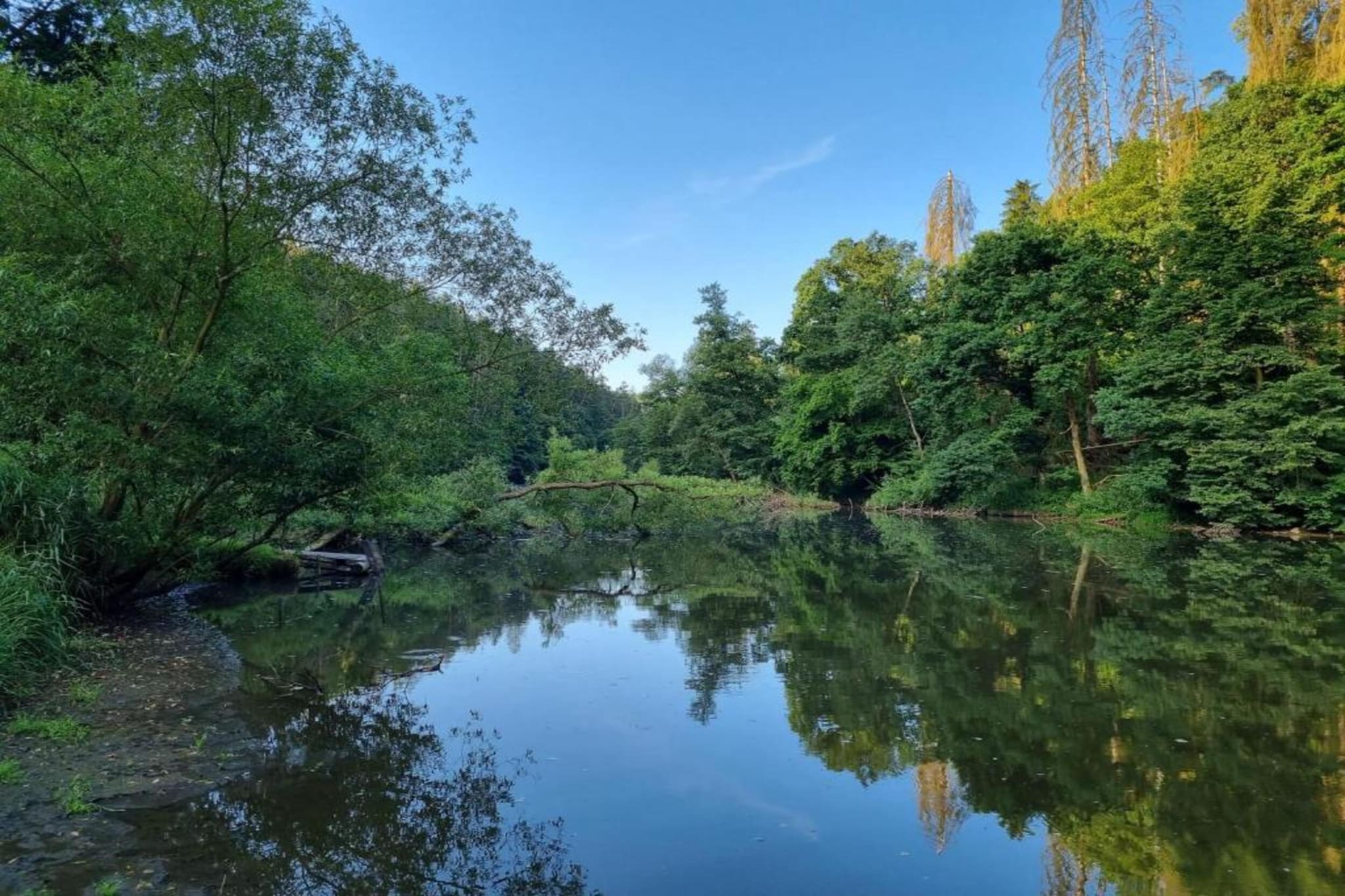 Villa Stastny-Zones d'été à 20 km