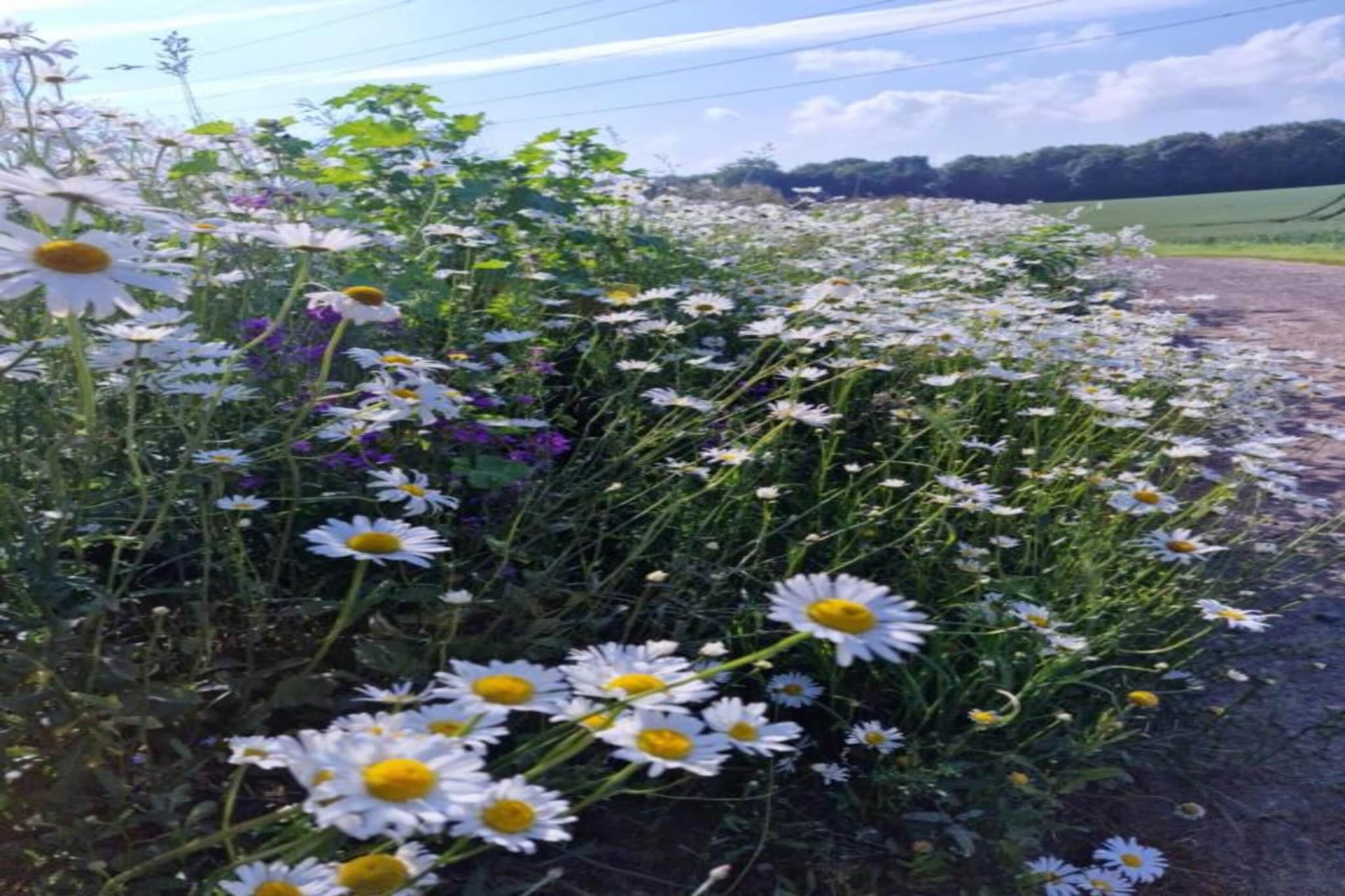 Macray La Colline aux Framboises-Gebieden zomer 20km