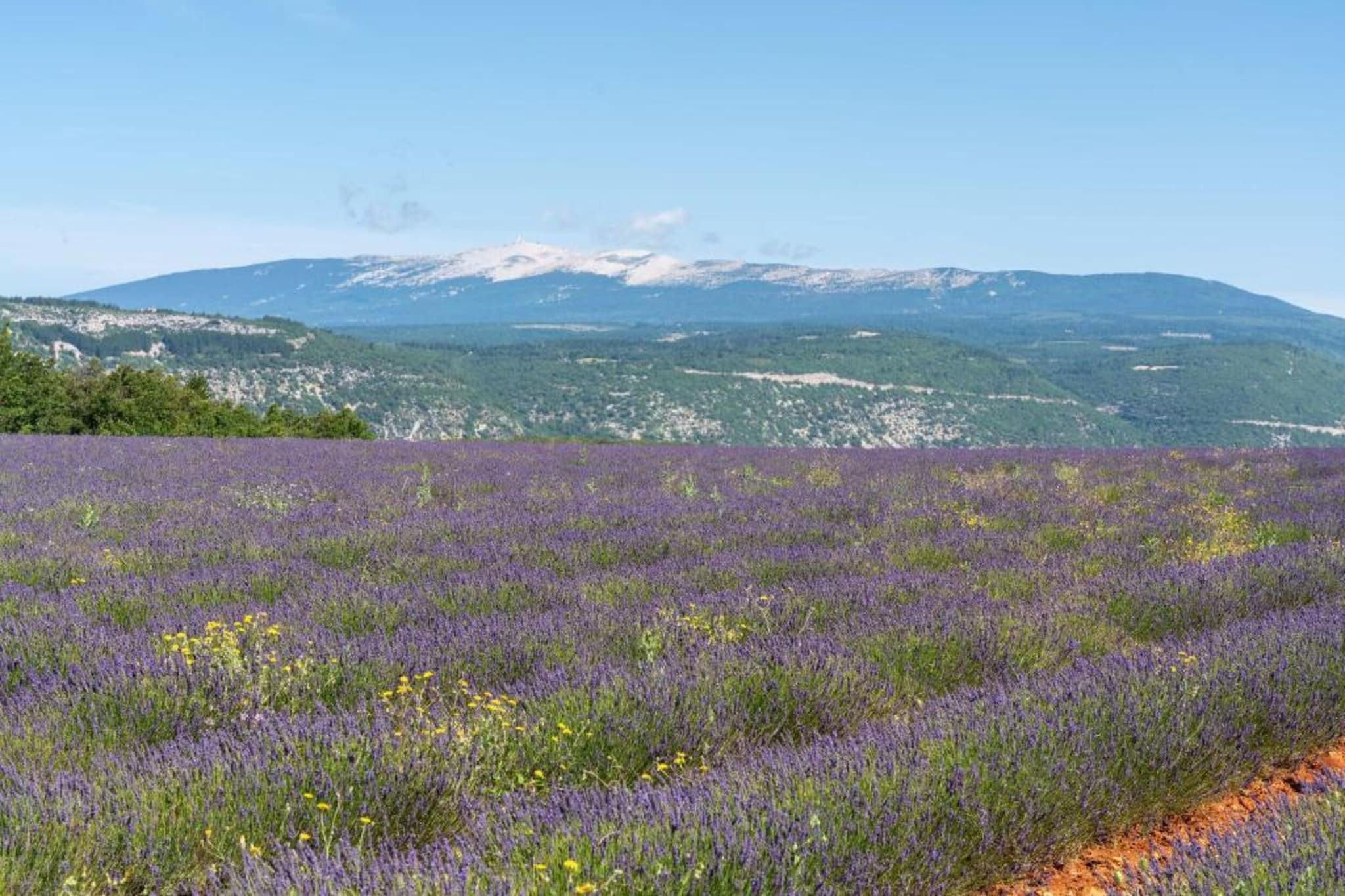 Les Demeures du Ventoux 2-Gebiete Sommer 20 km