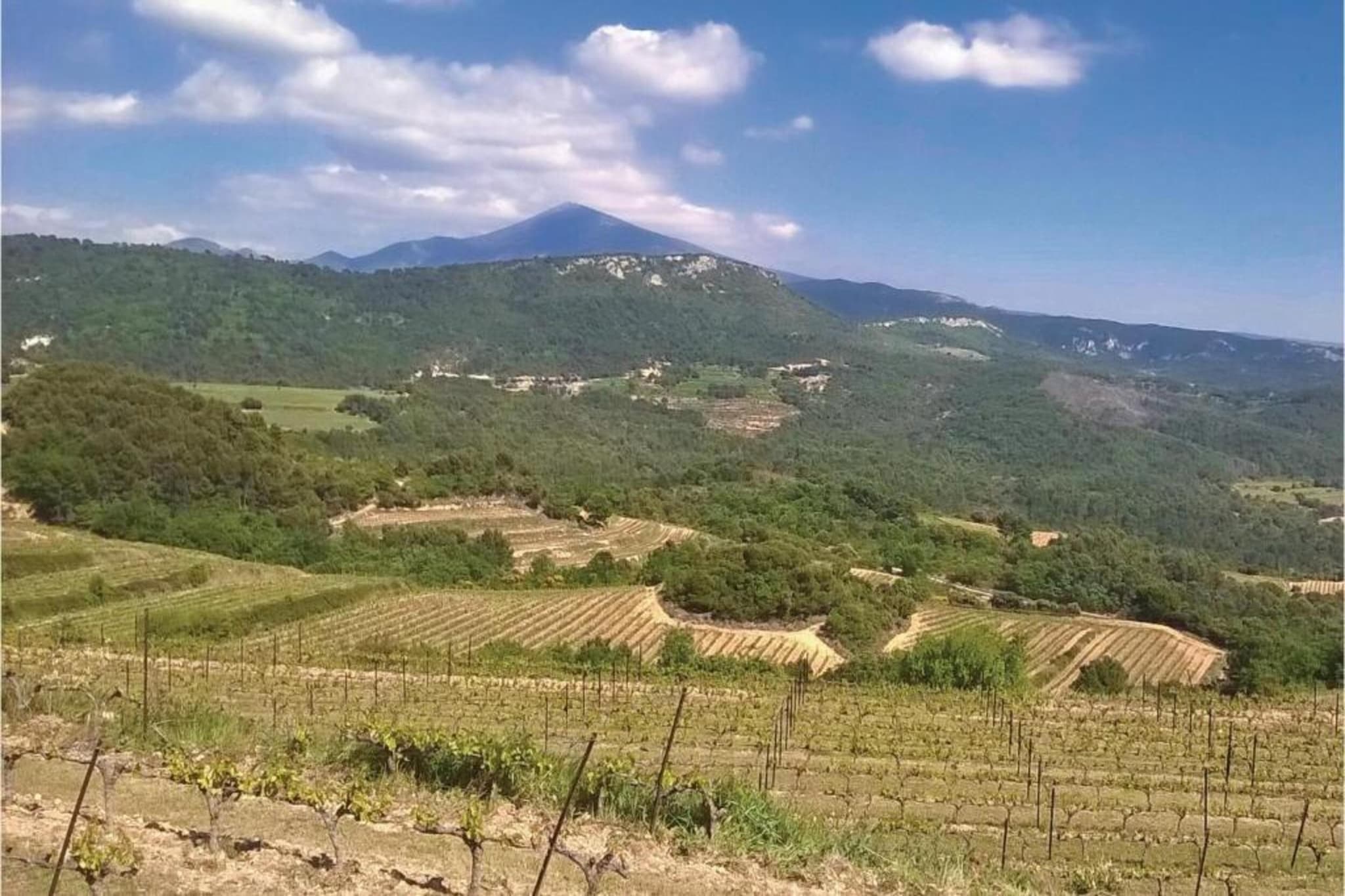Les Demeures du Ventoux 2-Gebiete Sommer 20 km