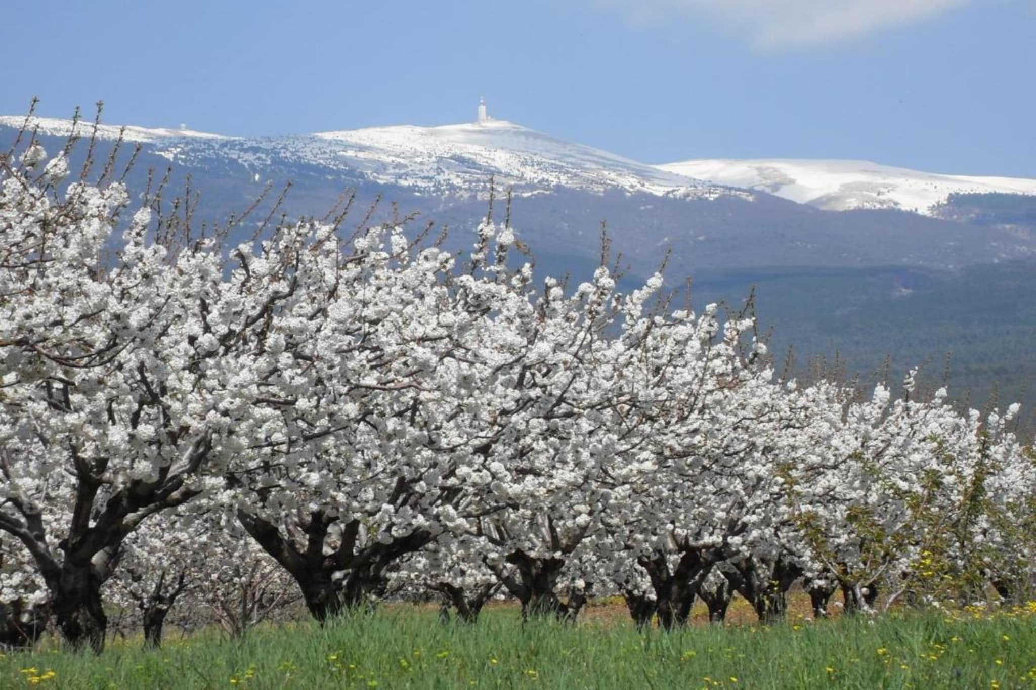Les Demeures du Ventoux 2-Gebiet Winter 20 km