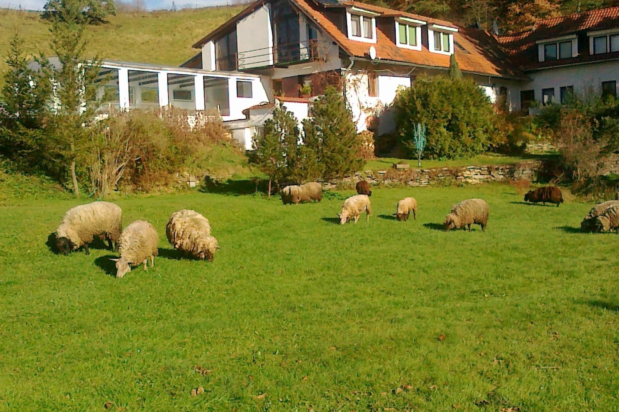 Villa Stastny-Tuinen zomer