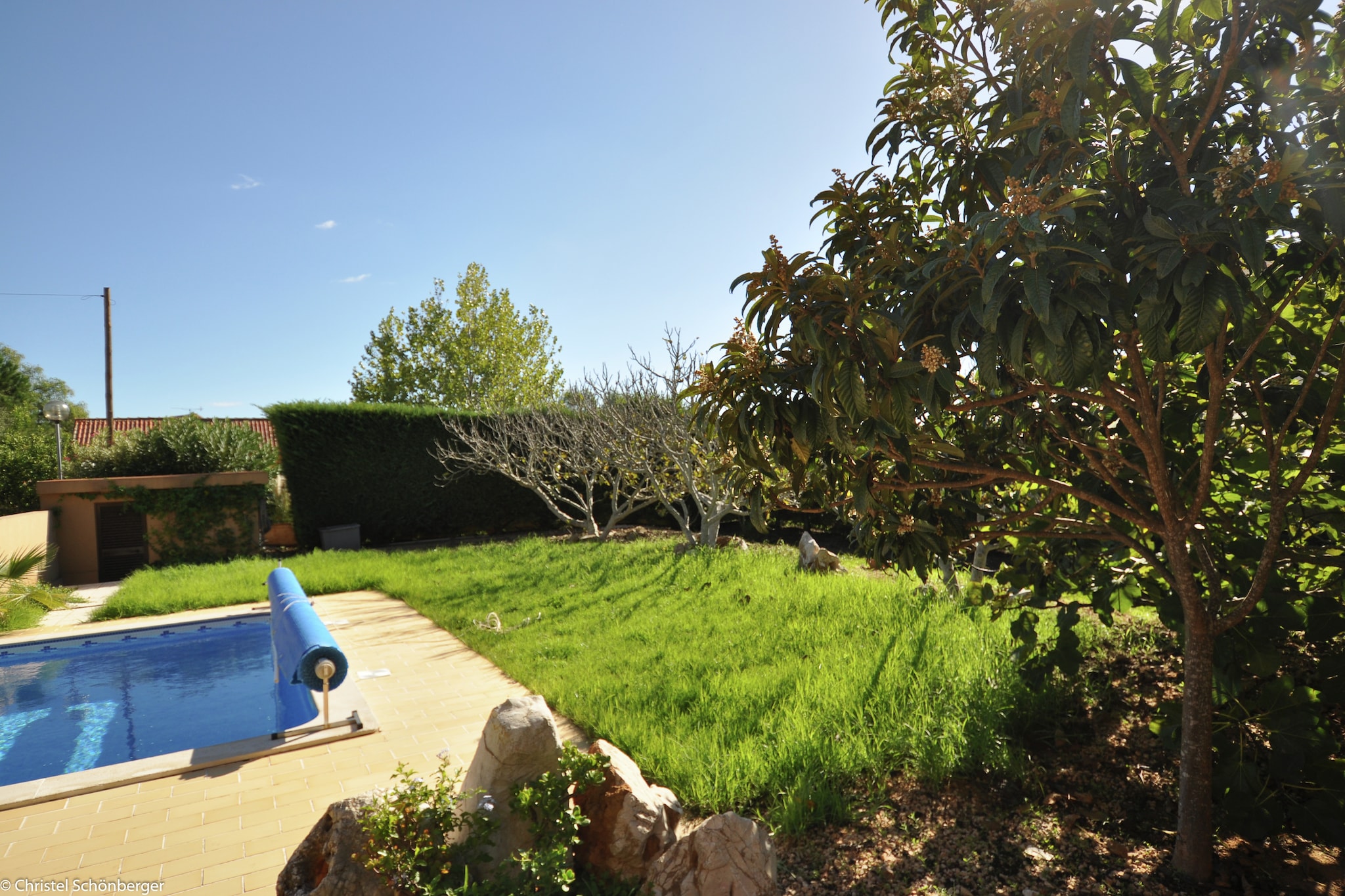 Garden Summer