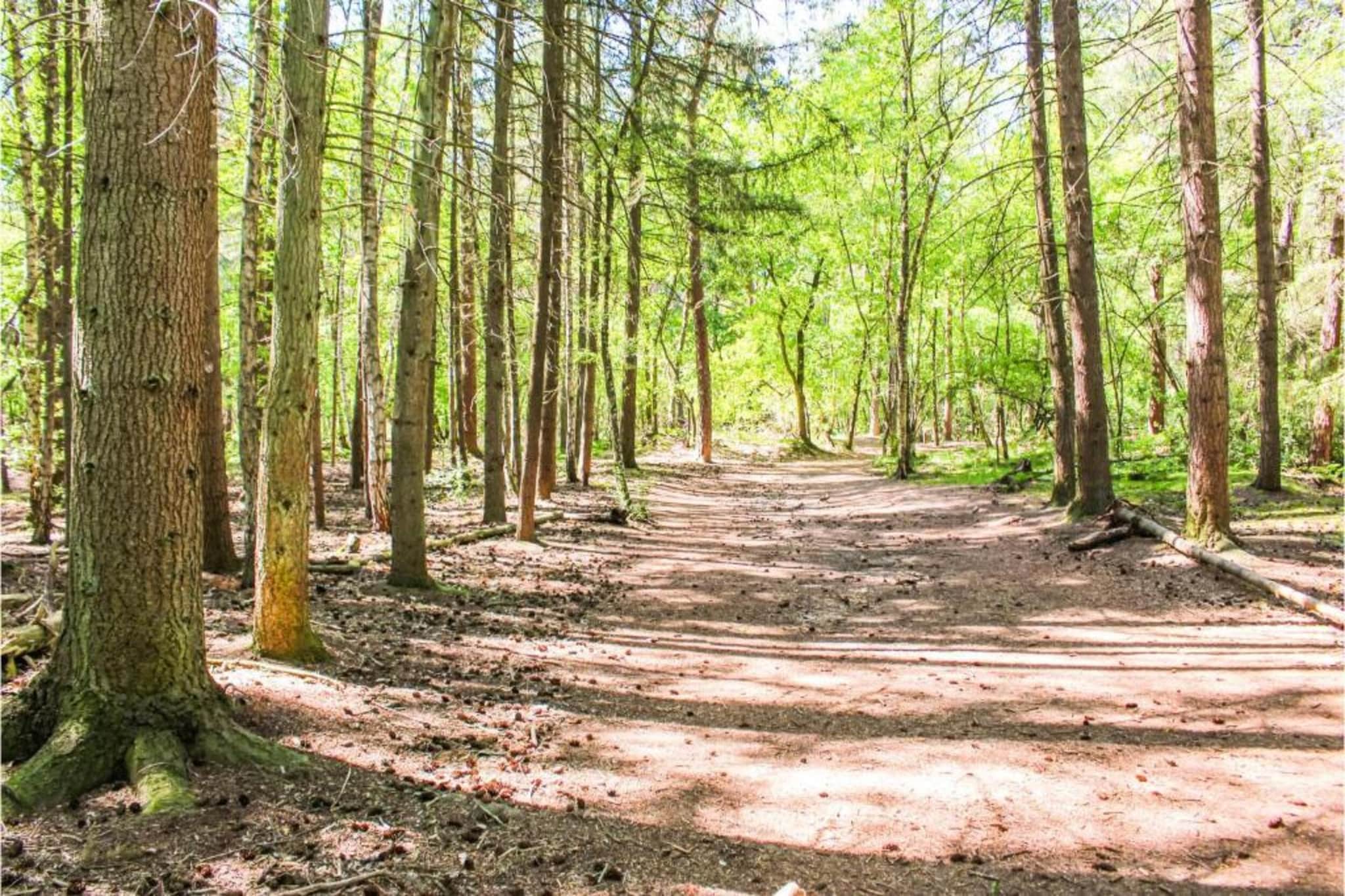 Recreatiepark Duinhoeve 1-Gebieden zomer 20km