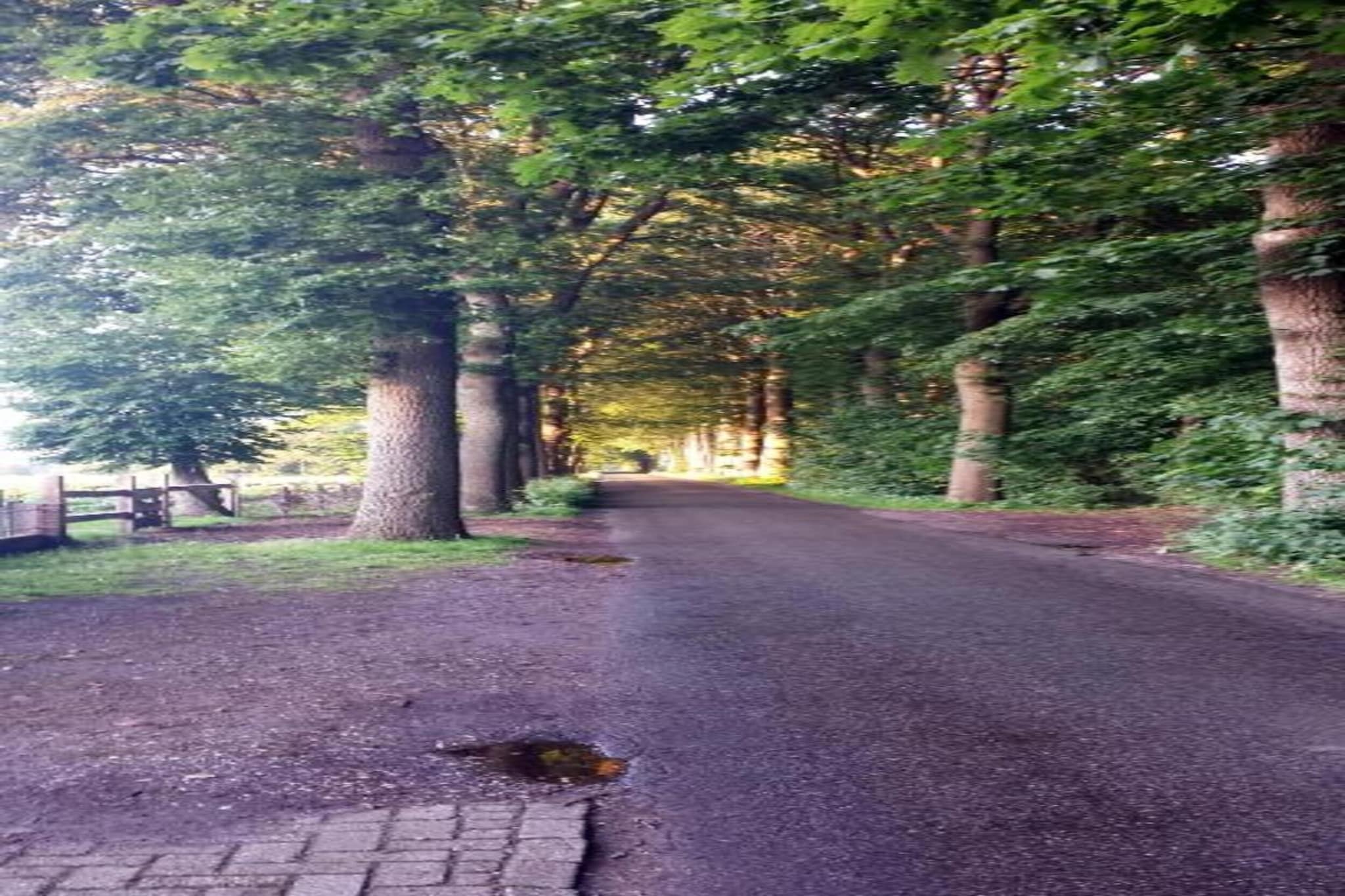 Residence De Eese 2-Gebieden zomer 20km