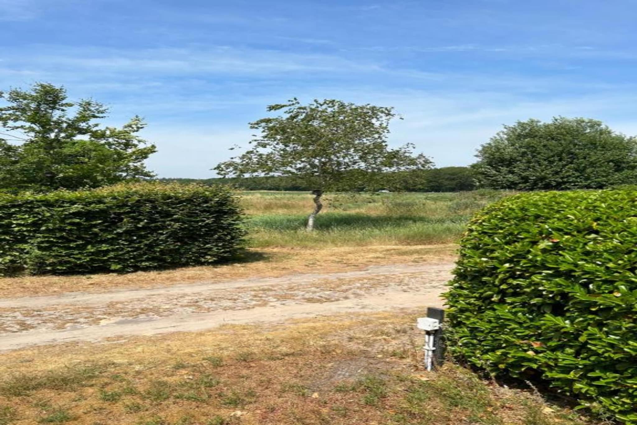 Residence De Eese 2-Gebieden zomer 20km