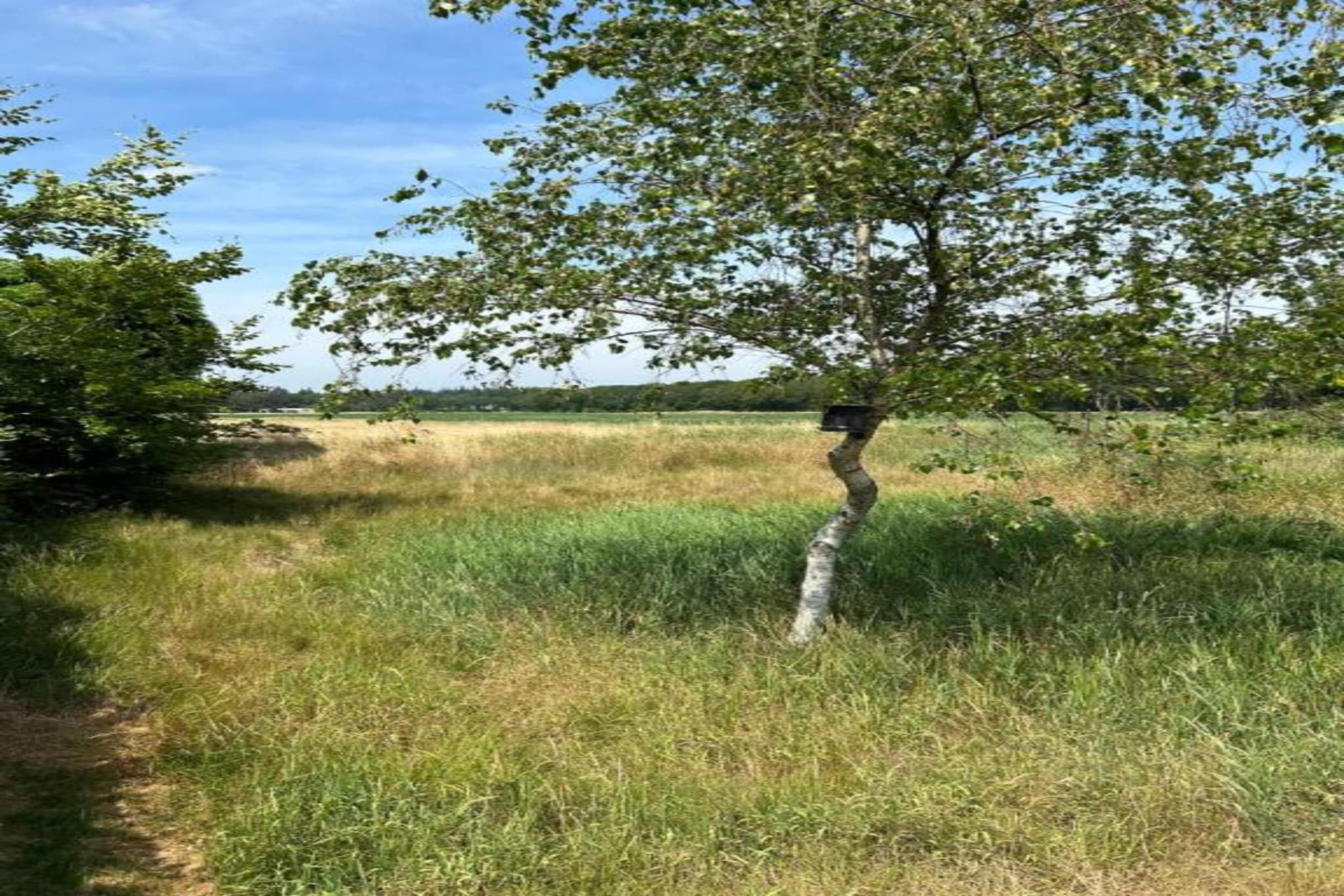 Residence De Eese 2-Gebieden zomer 20km