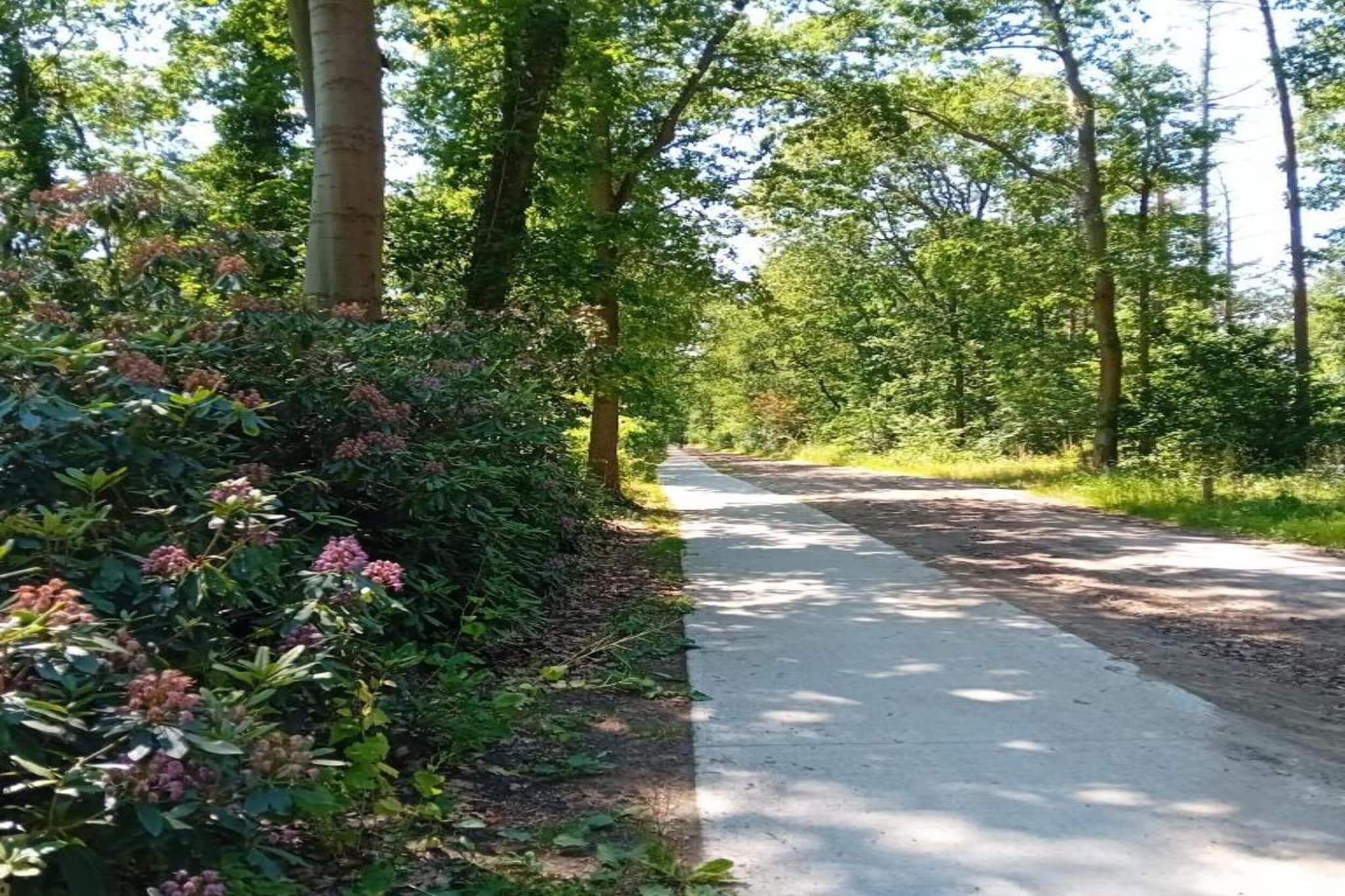 Residence De Eese 2-Gebieden zomer 20km