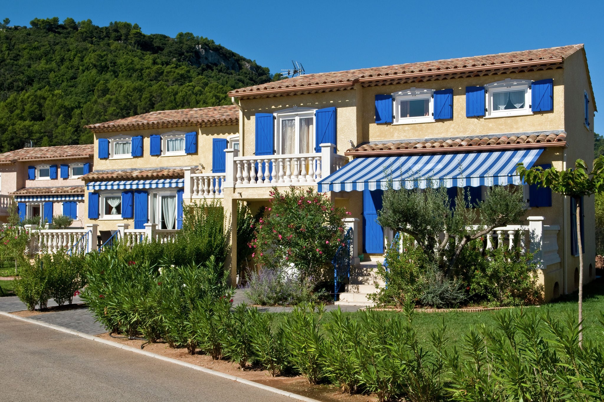 Luxurious Provencal villa with AC, near the nice Vidauban