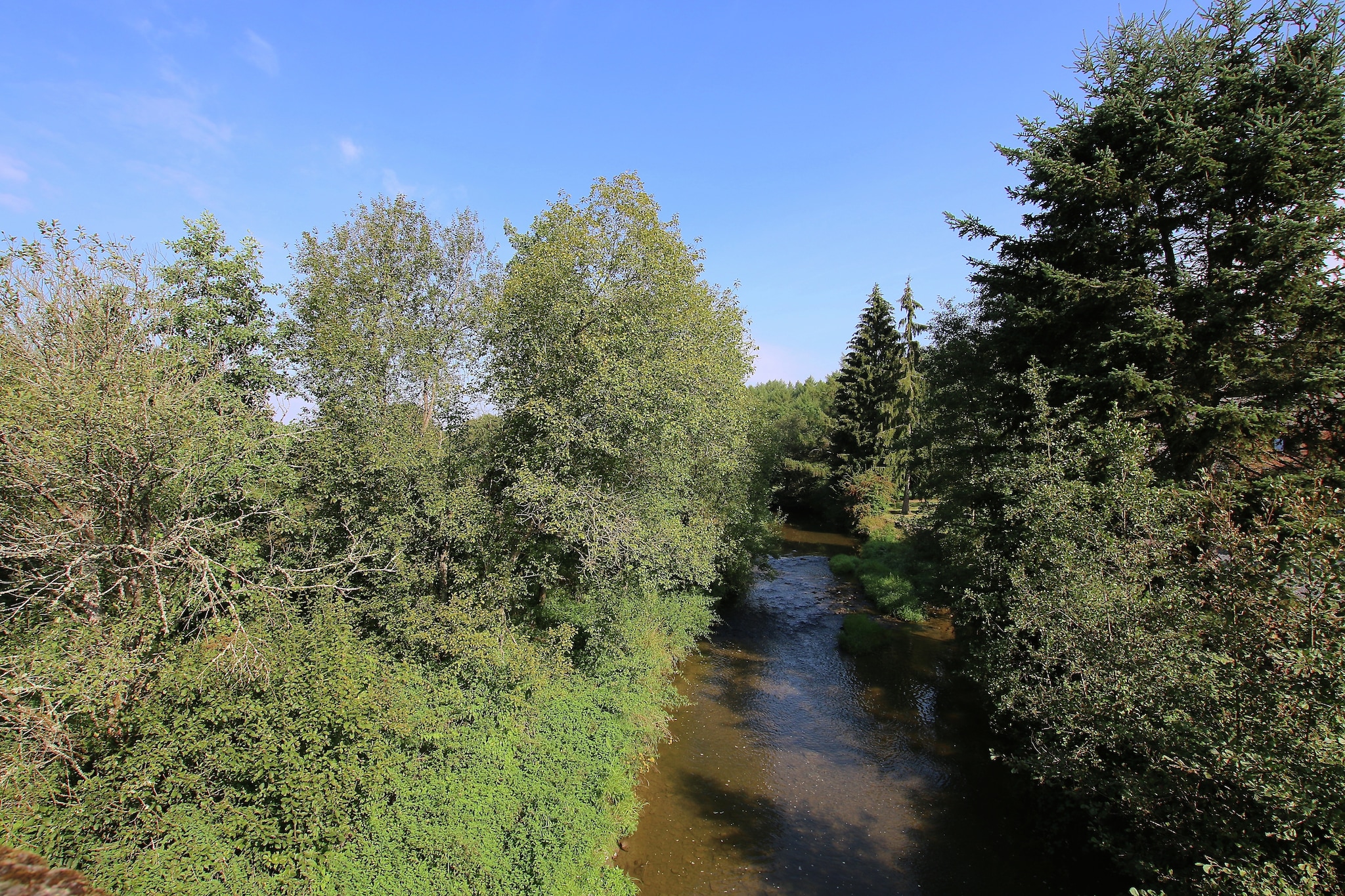 Mon daim-Gebieden zomer 5km