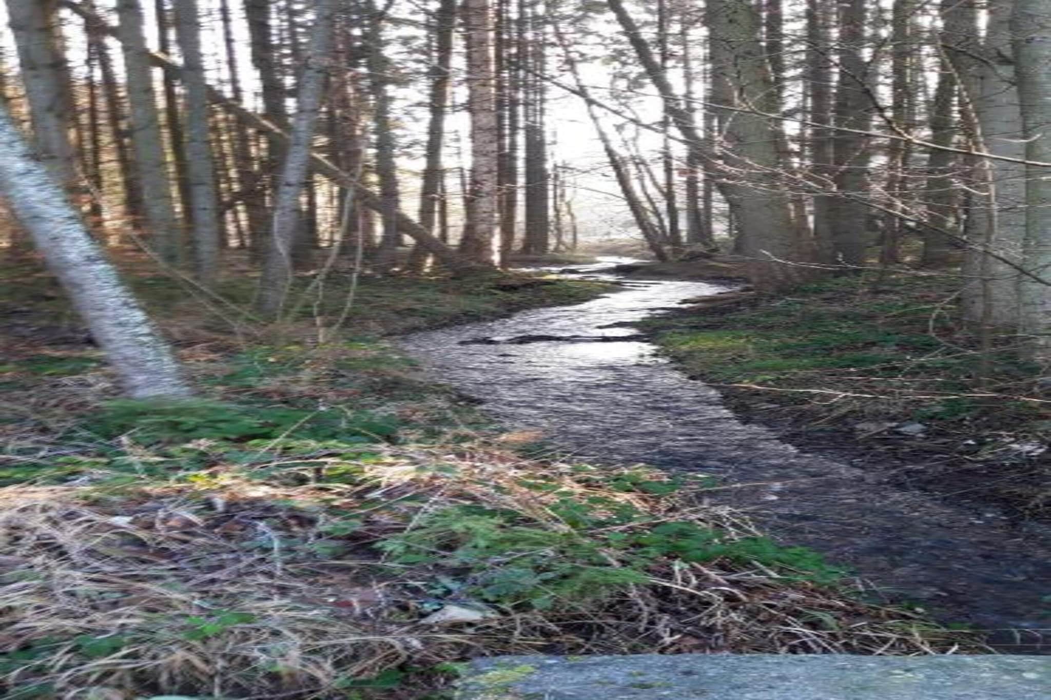 La Dolina-Gebieden zomer 20km