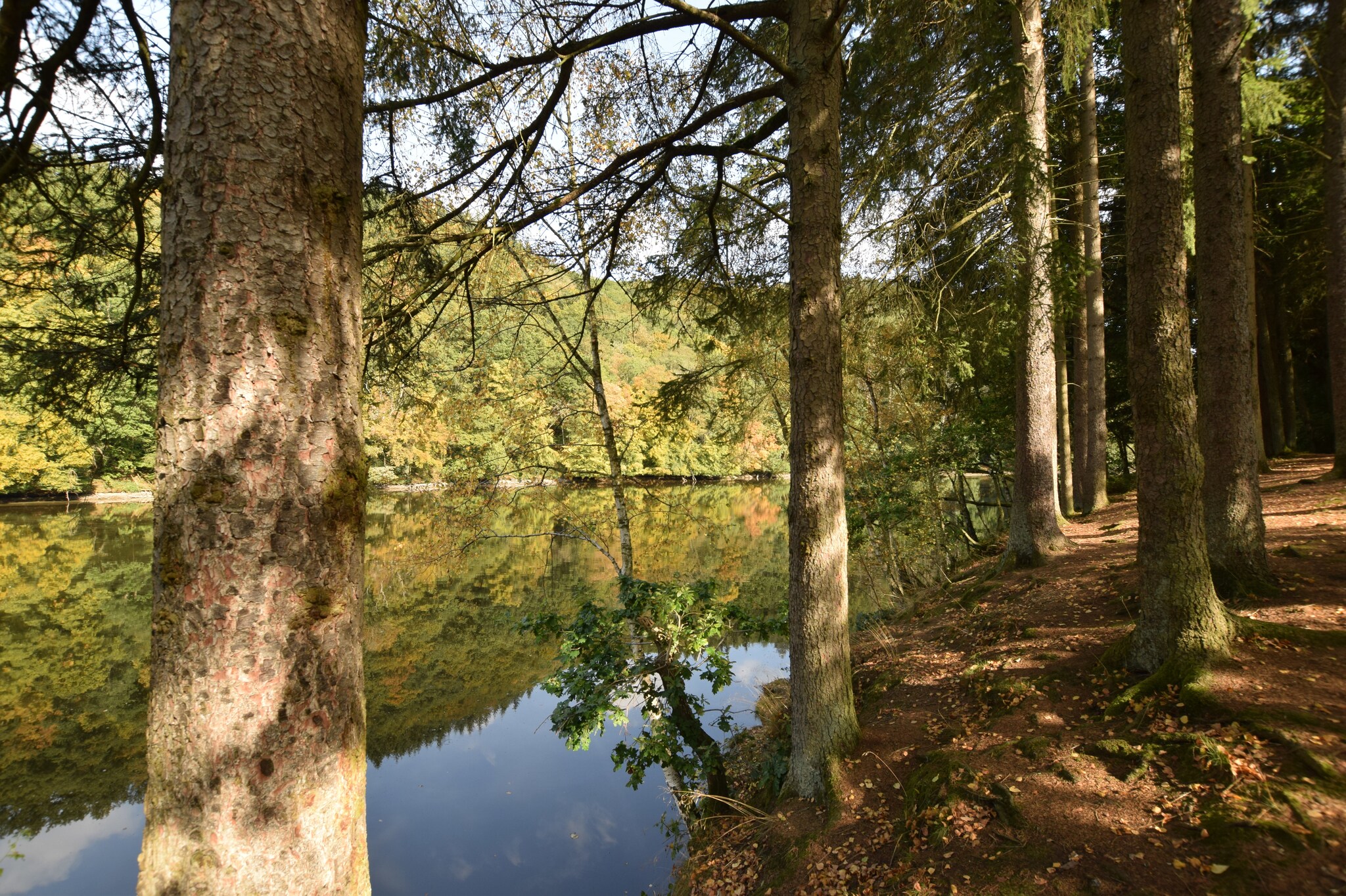 Vakantiehuis Houffalize max. 9 personen 4 slaapkamers sauna #33